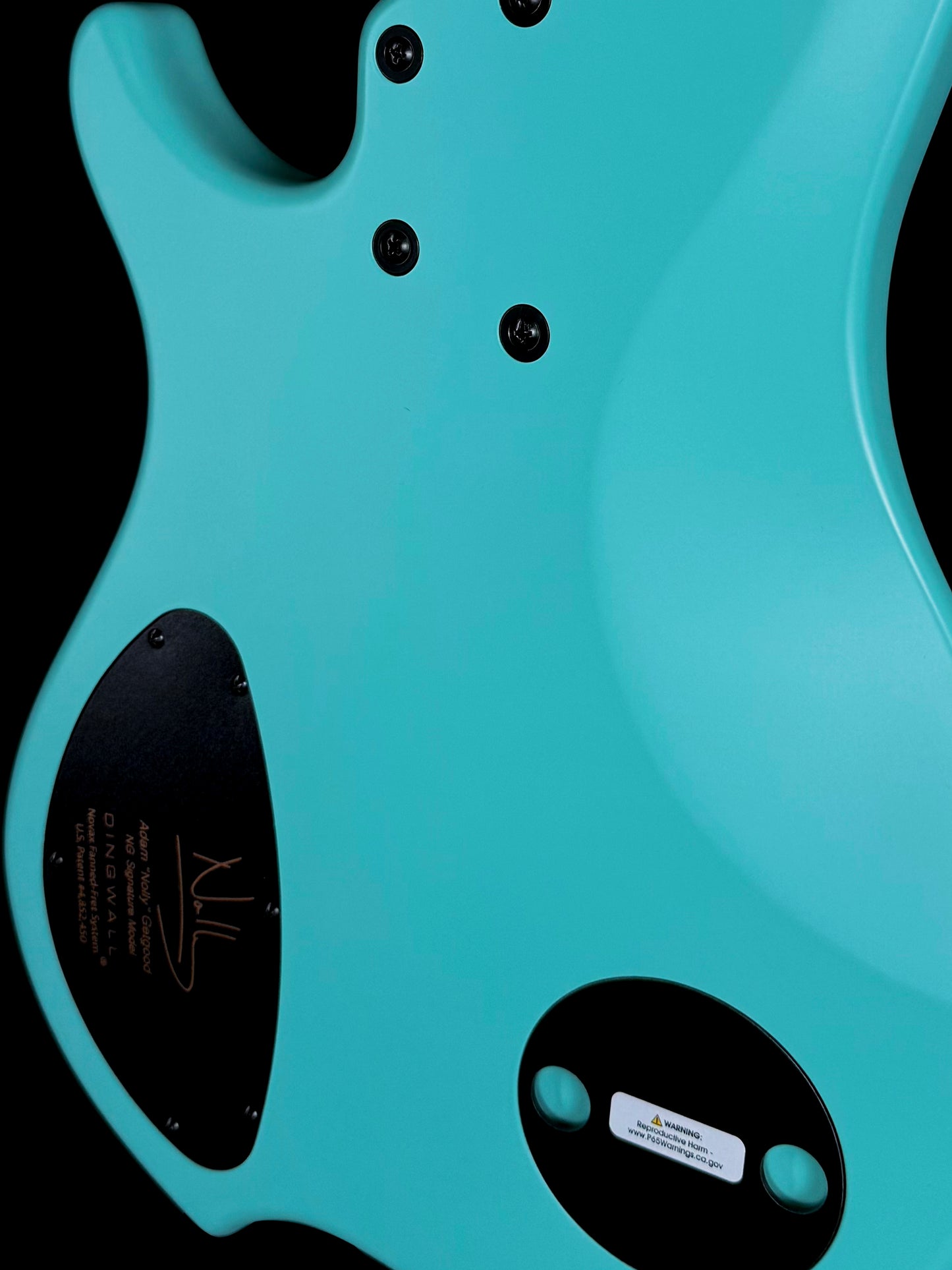 Dingwall Guitars Adam "Nolly" Getgood NG Signature 5 String | Matte Celestial Blue