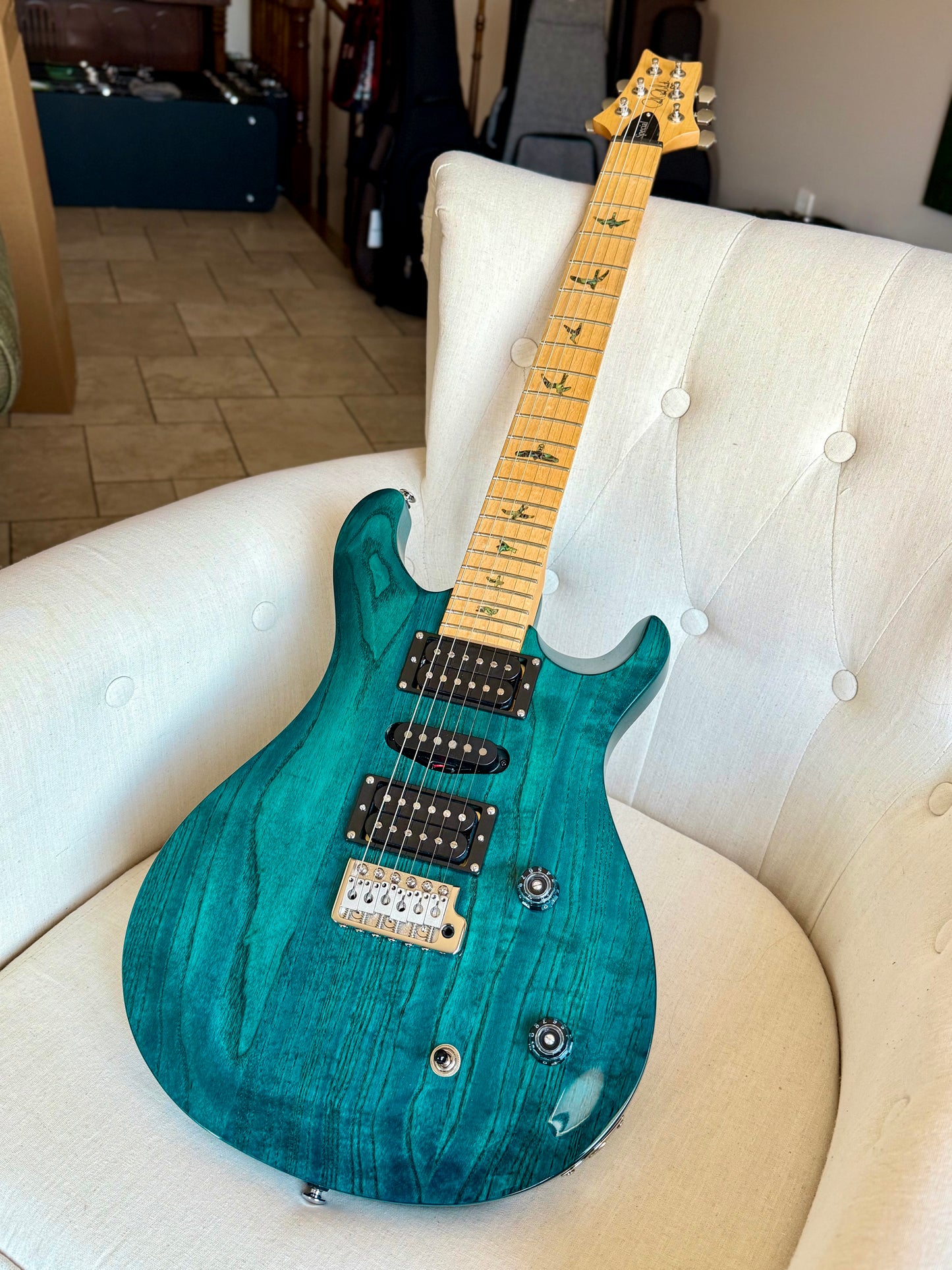 PRS SE Swamp Ash Special | Iri Blue