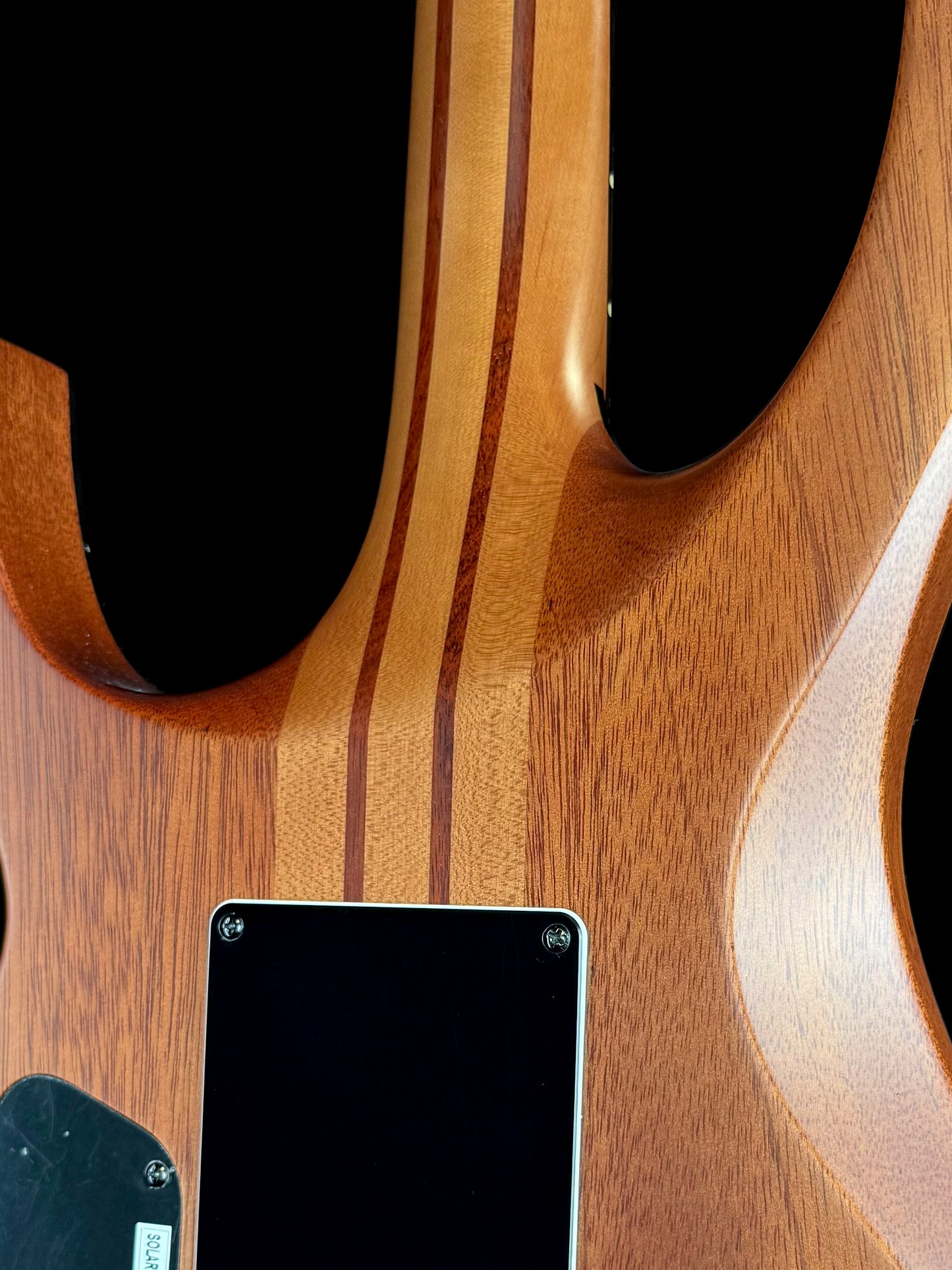 Solar Guitars Limited Edition S1.6ETPBM LTD | Poplar Burst Matte
