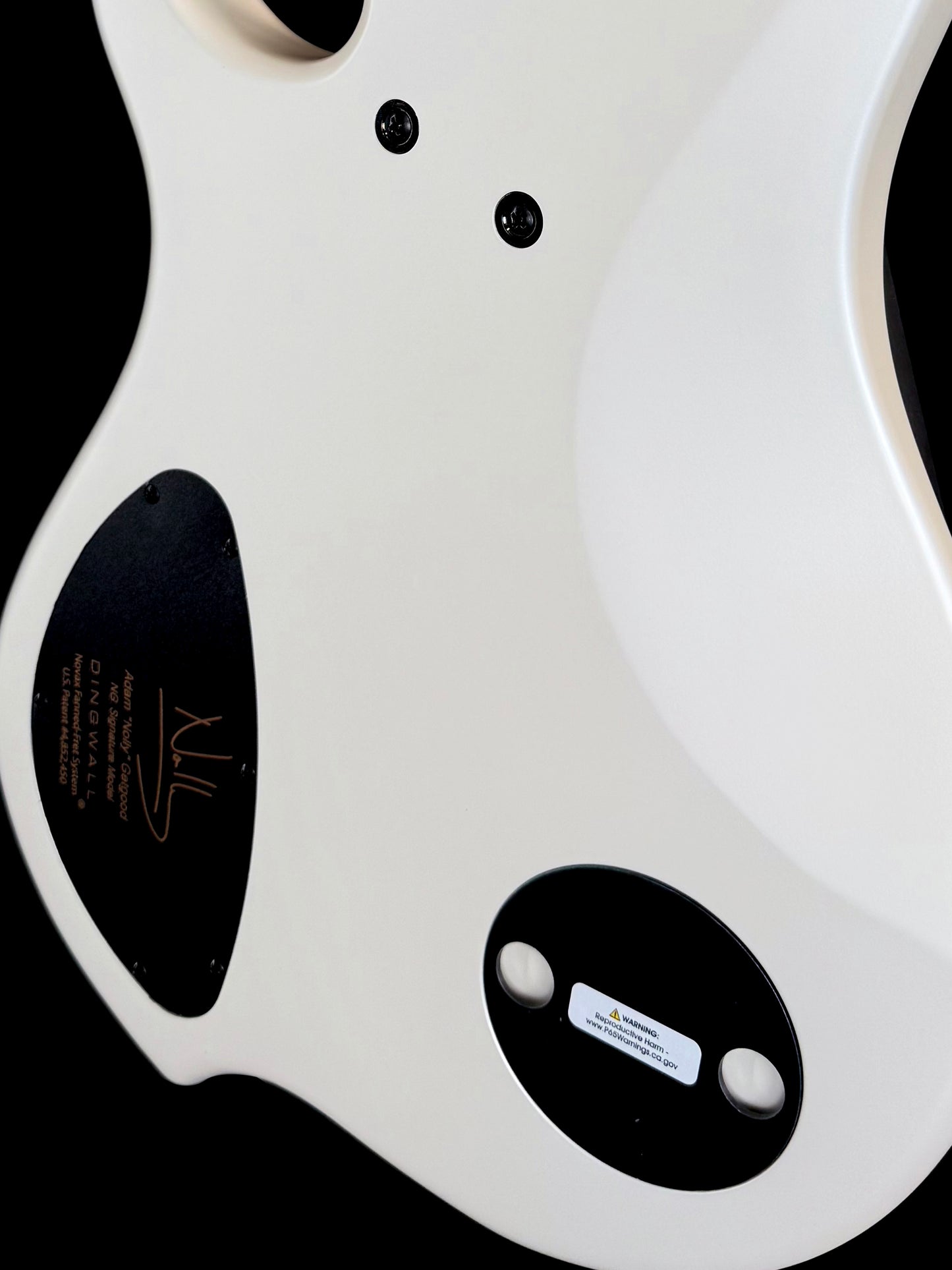 Dingwall Guitars Adam "Nolly" Getgood NG Signature 5 String | Matte Ducati Pearl White
