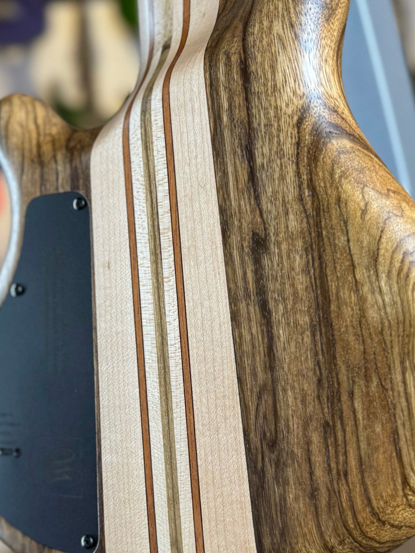 Mayones Cali 4 | Natural Eye Poplar