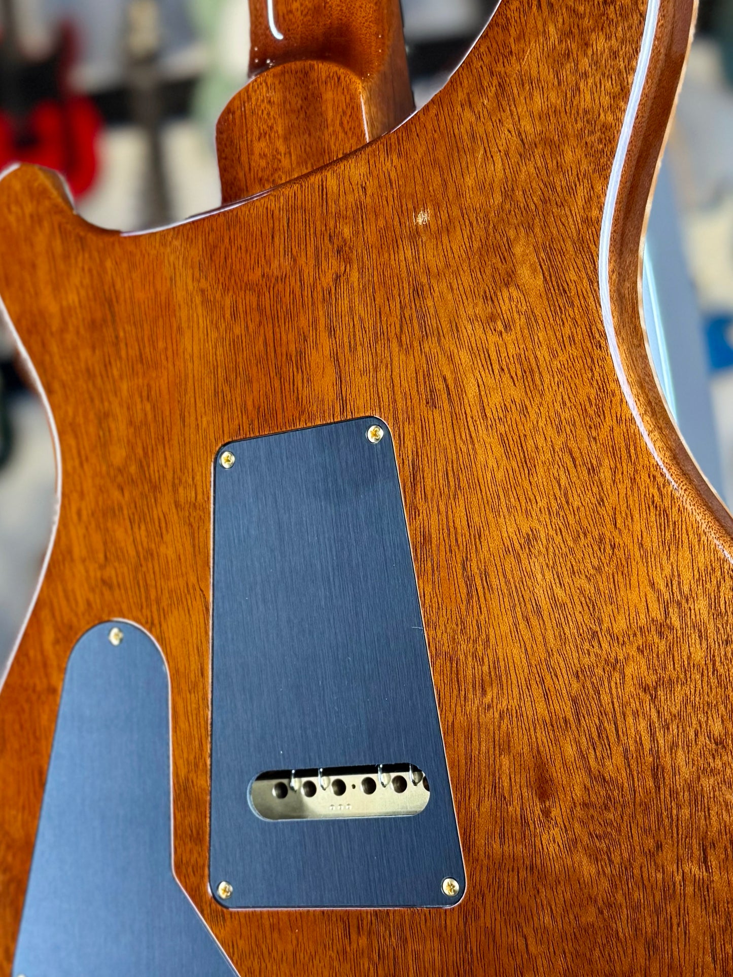 PRS Custom 24 "10-Top" | Natural Honey Burst (Hand-Picked Top)