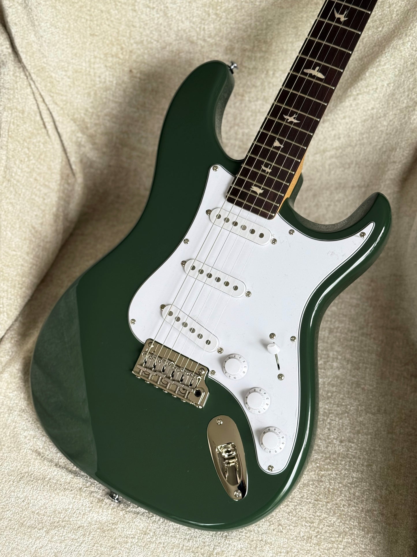PRS SE Silver Sky | Laurel Green *New Color*