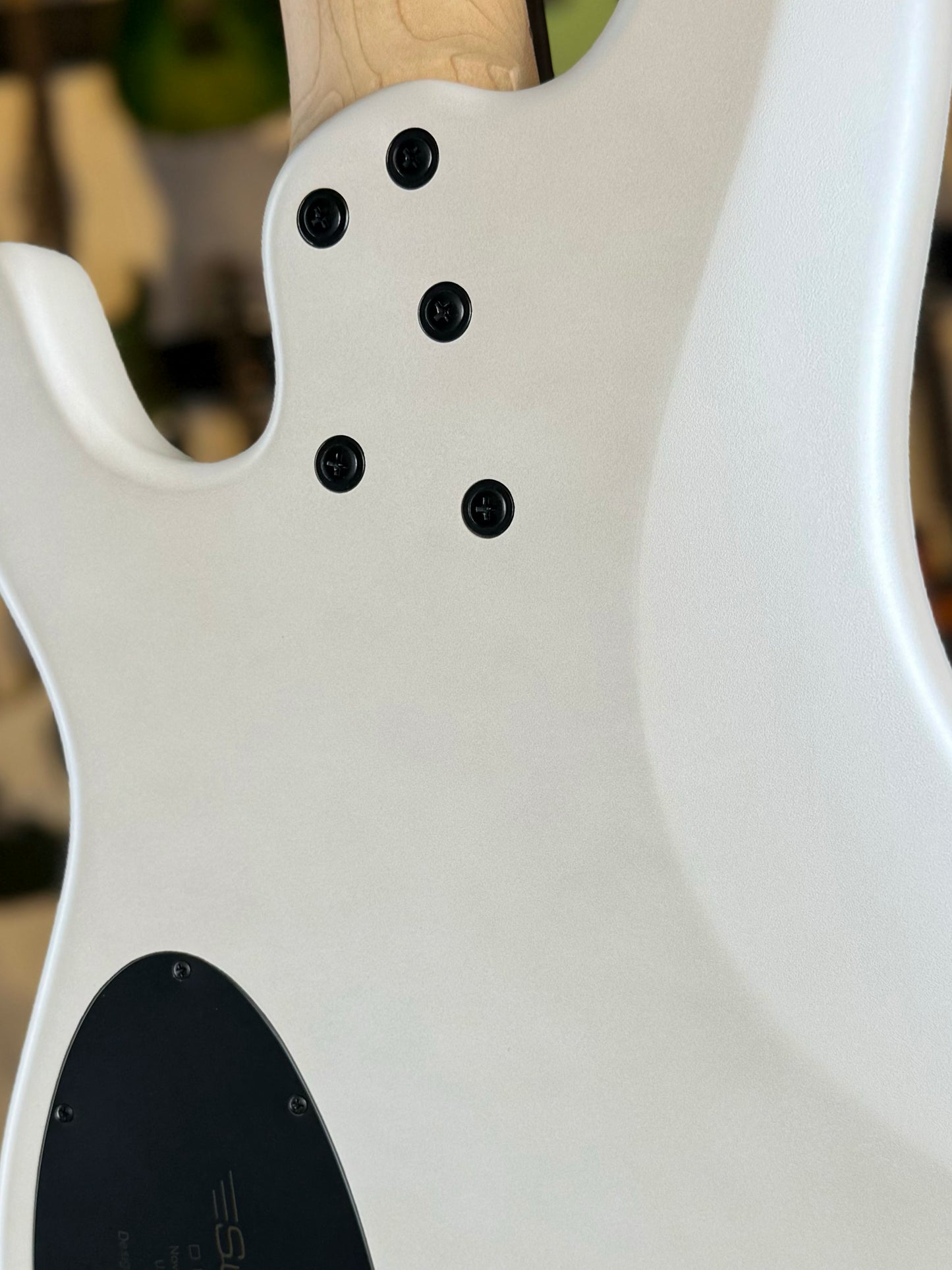 Dingwall Guitars SP1 5 String | Matte Ducati Pearl White