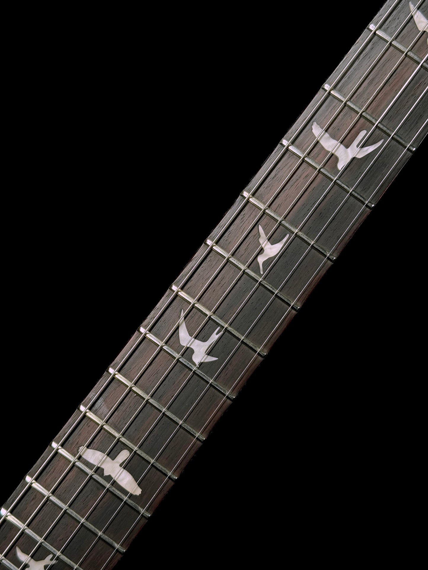 PRS SE Swamp Ash CE 24 "Sandblasted" Limited Edition | Sandblasted Green