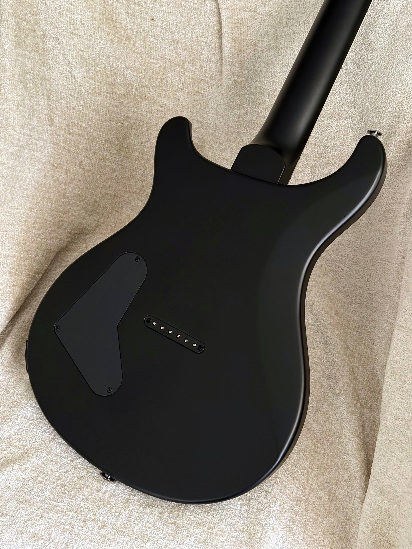 PRS Core Mark Holcomb Signature | Purple Mist Wraparound Burst