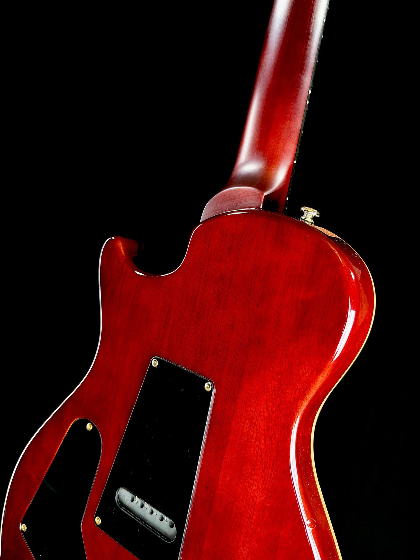 PRS SE Mikael Akerfeldt | Tortoise Shell