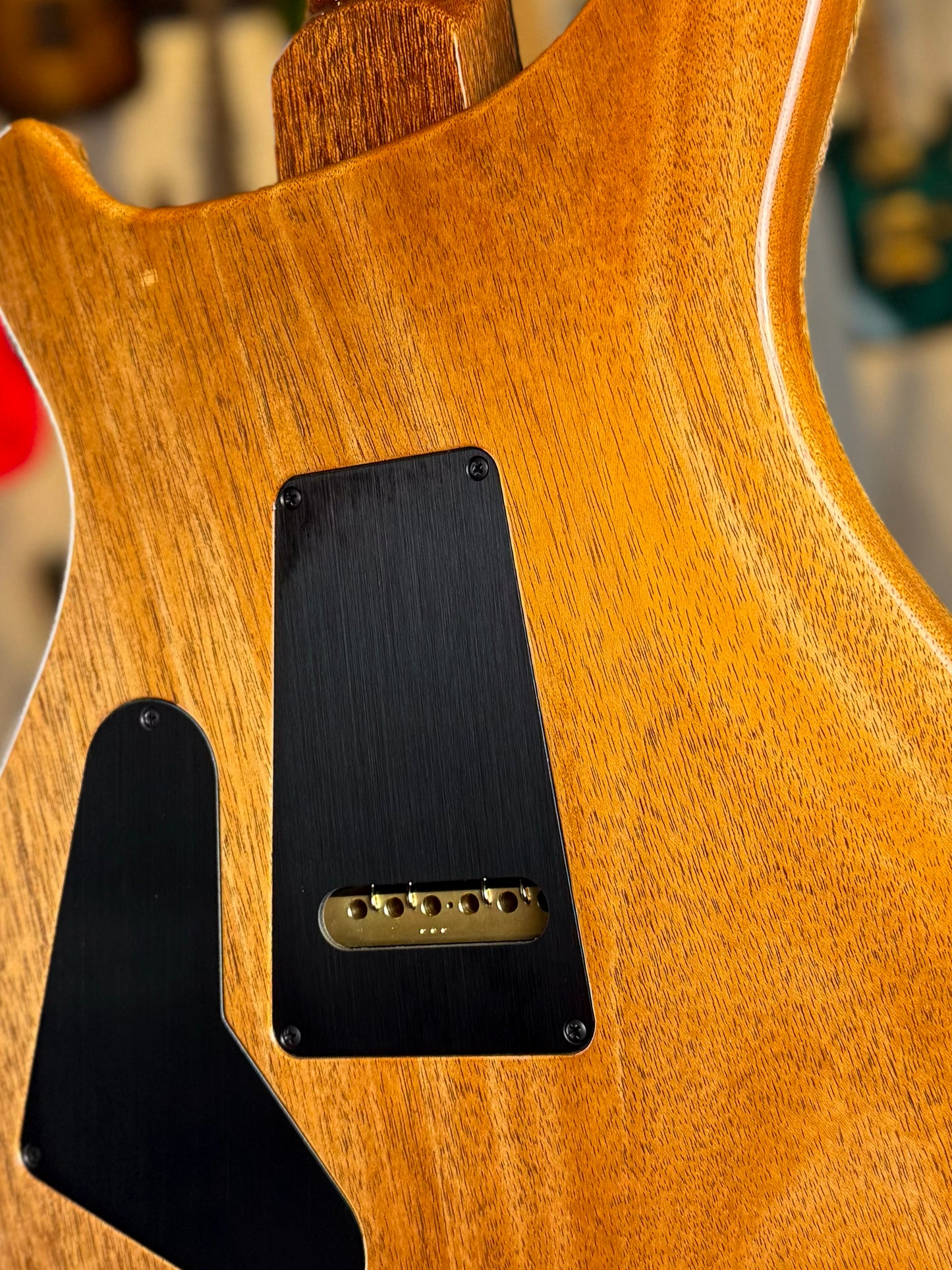 PRS Custom 24 Sprayer's Choice | Gunmetal Grey Holoflake Sparkle/Natural Back