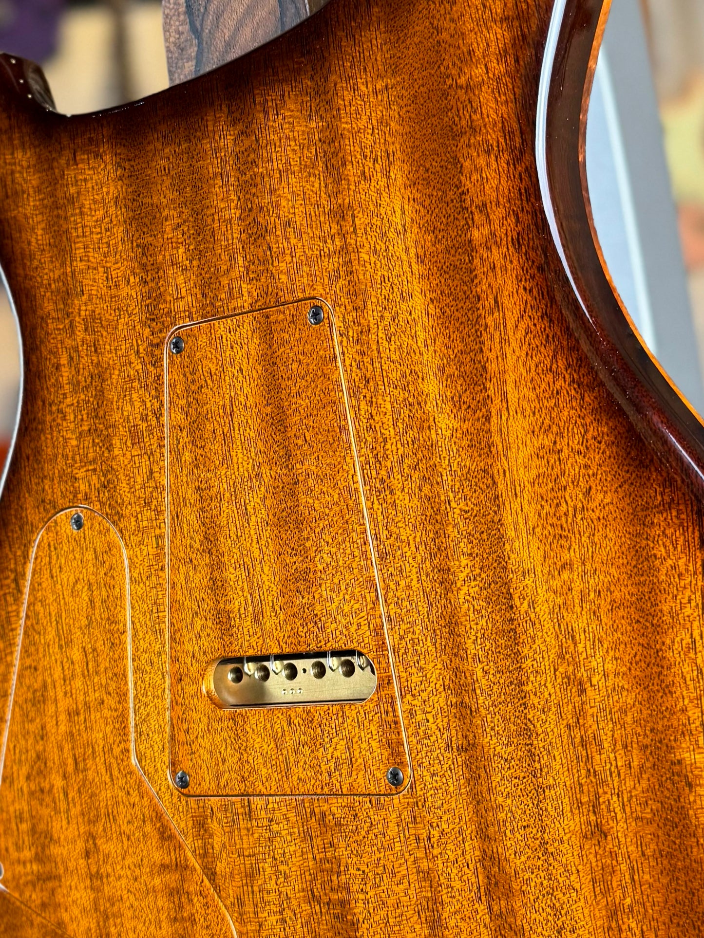 PRS Private Stock Custom 24 | Koa (Birds of a Feather)