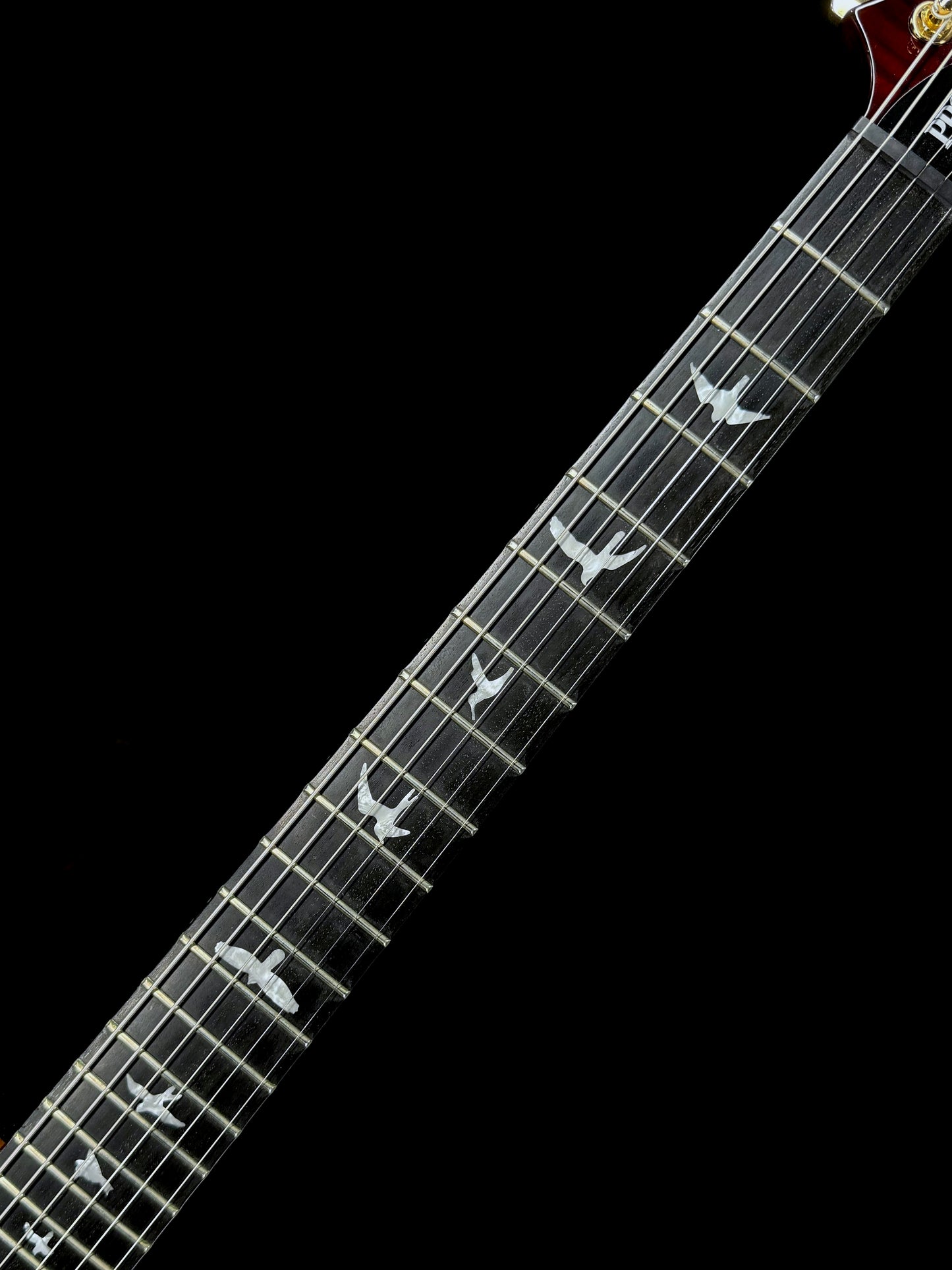 PRS SE Mikael Akerfeldt | Tortoise Shell