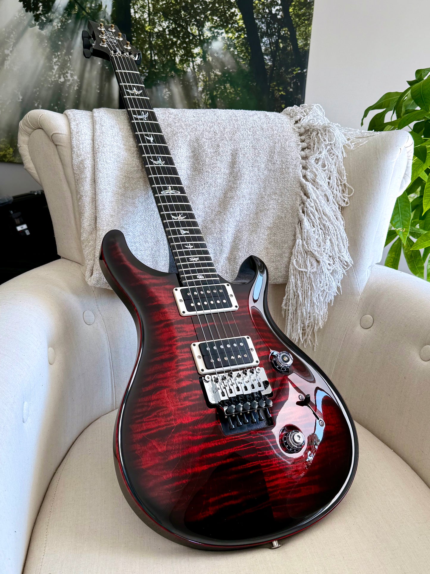 PRS Custom 24 "Floyd" | Fire Smokeburst