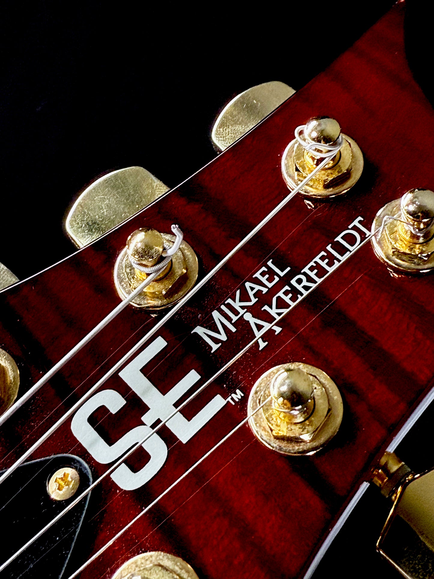 PRS SE Mikael Akerfeldt | Tortoise Shell