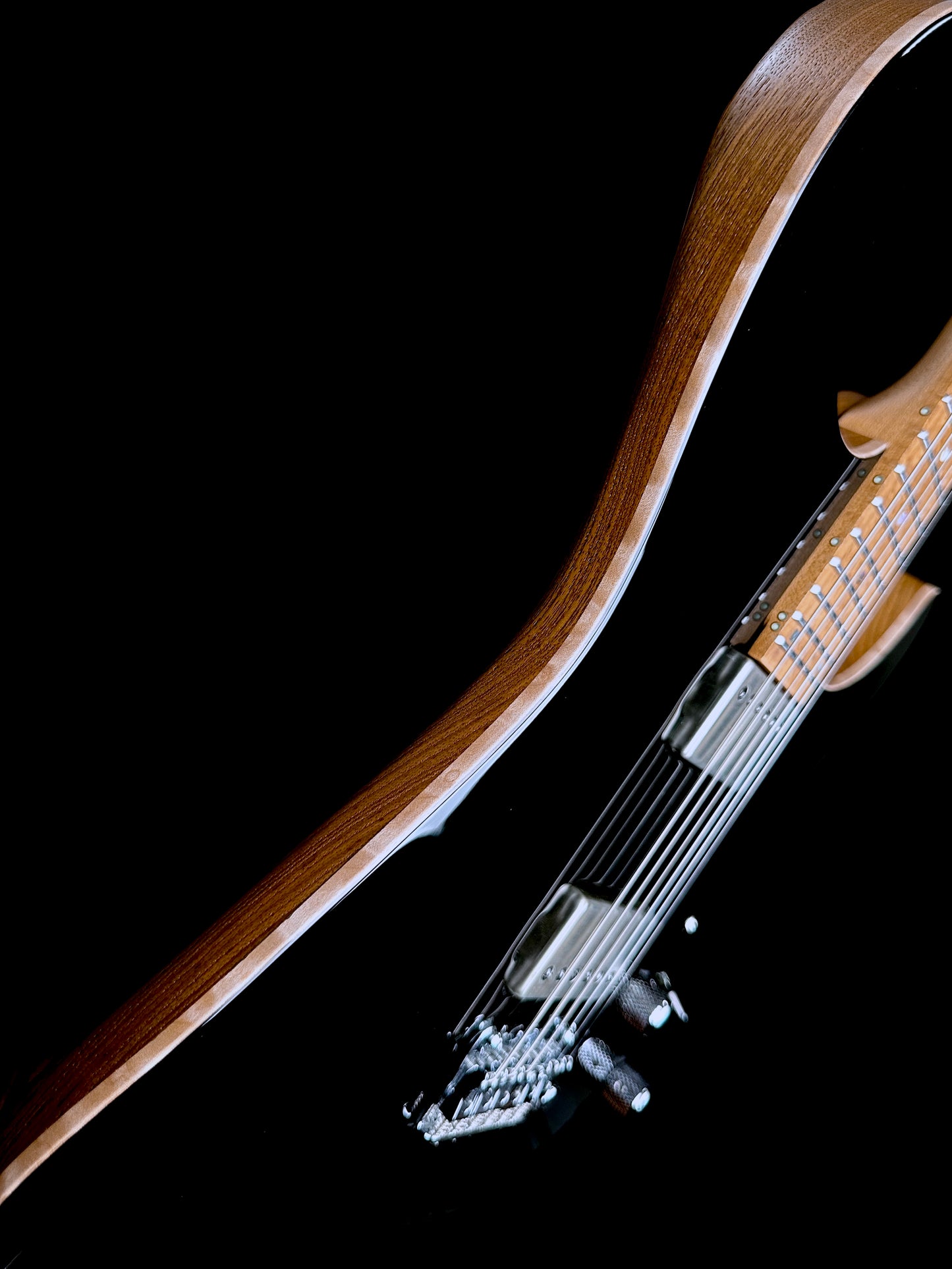 Mayones Aquila Elite S 6 | Monolith Black Gloss