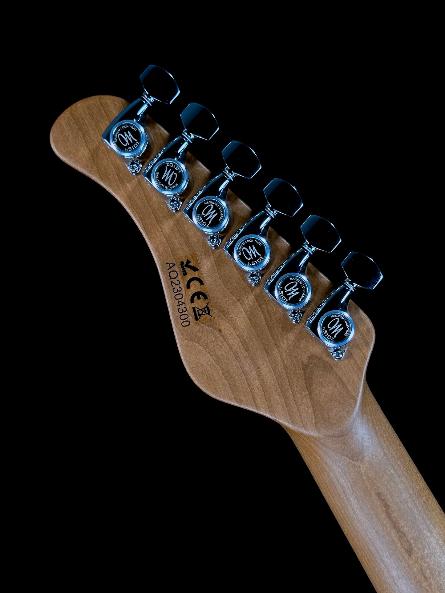Mayones Aquila Elite S 6 | Monolith Black Gloss