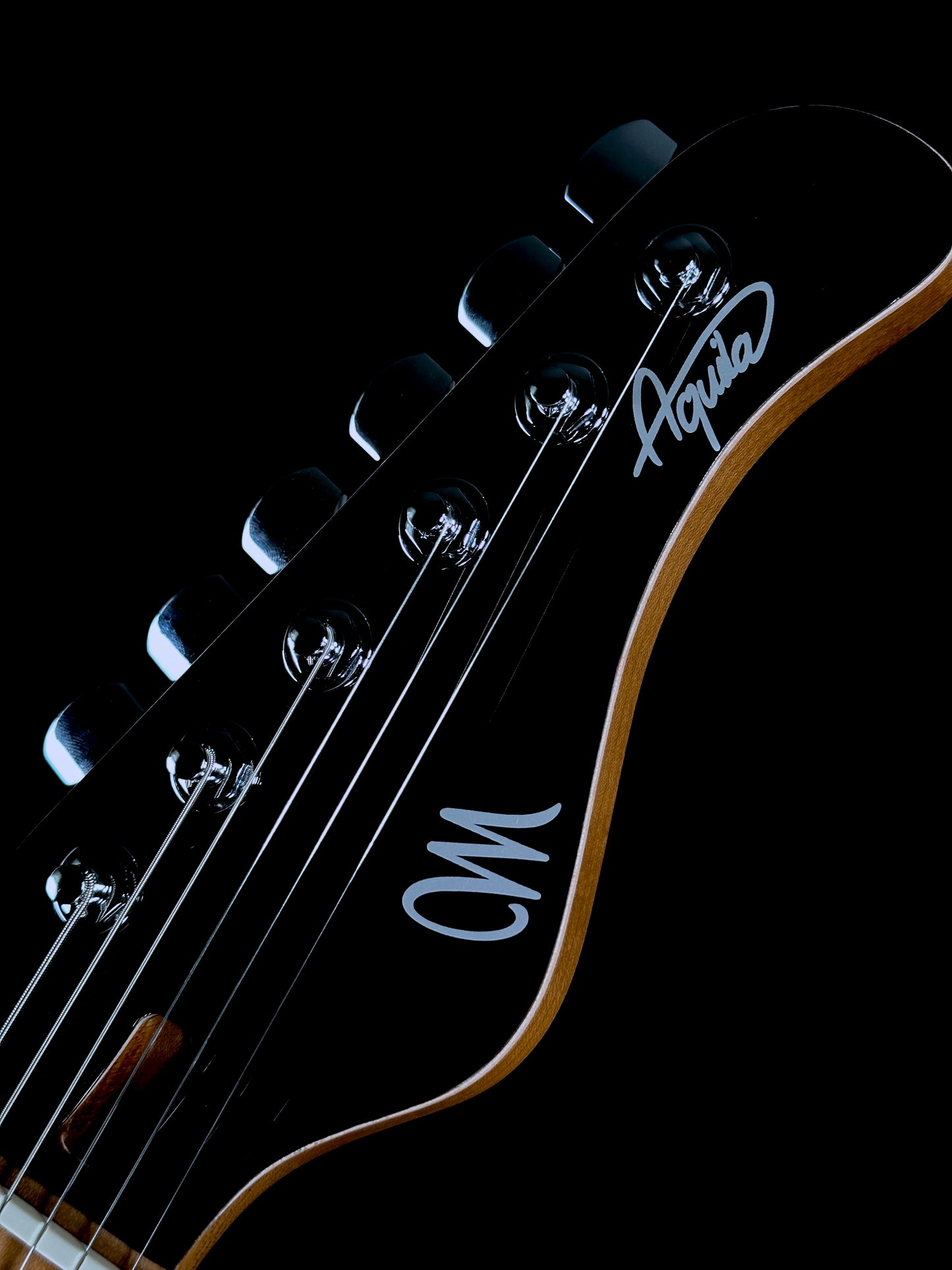 Mayones Aquila Elite S 6 | Monolith Black Gloss