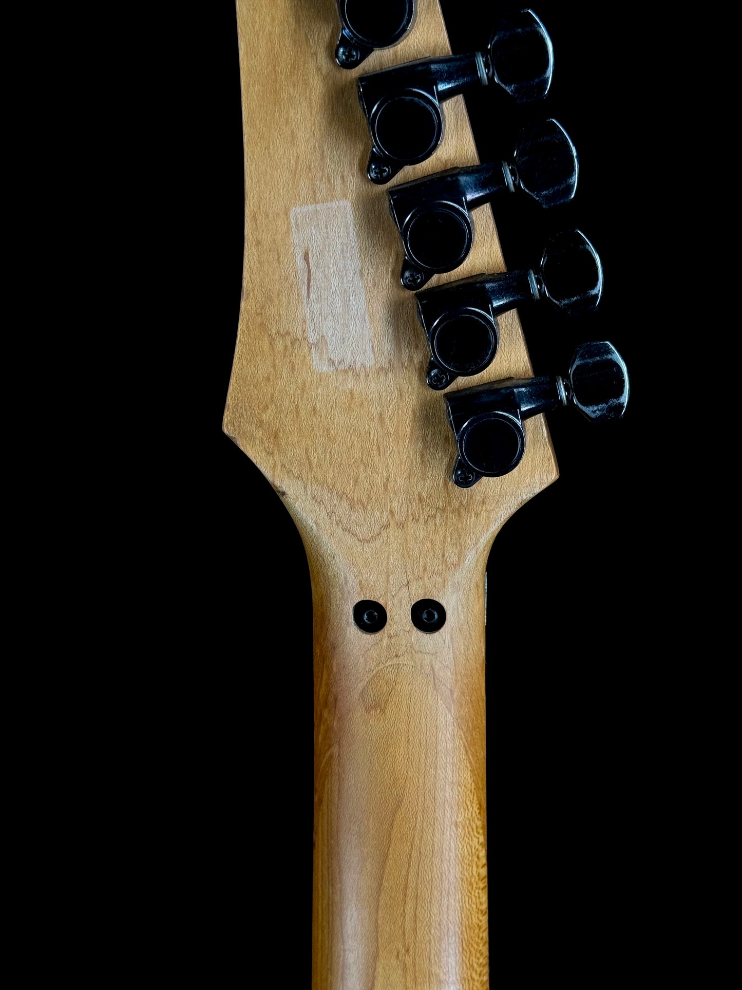 Ibanez Jem 77 FP 1988 | Floral Pattern