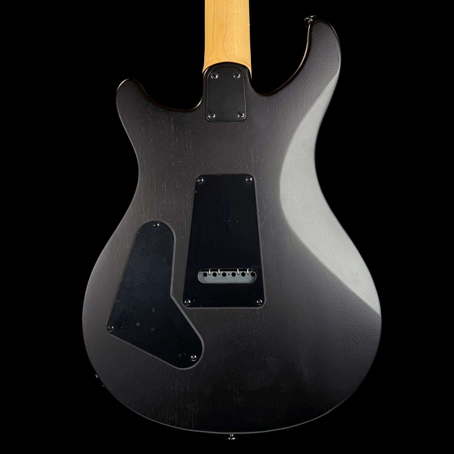PRS SE Swamp Ash CE 24 "Sandblasted" Limited Edition | Sandblasted Purple