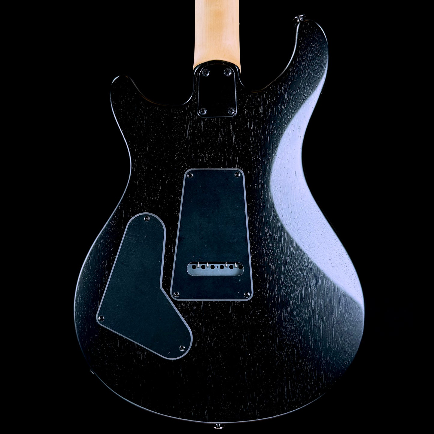 PRS SE Swamp Ash CE 24 "Sandblasted" Limited Edition | Sandblasted Green