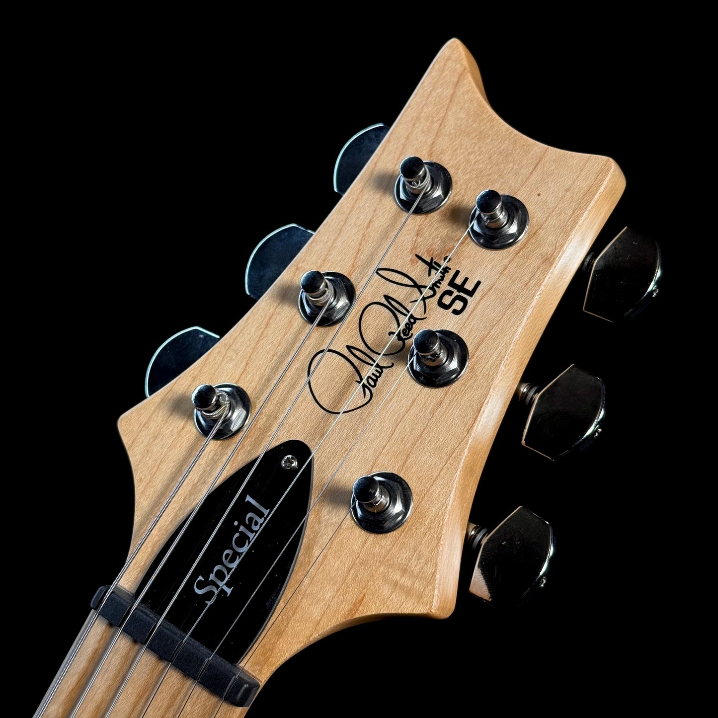 PRS SE Swamp Ash Special | Iri Blue
