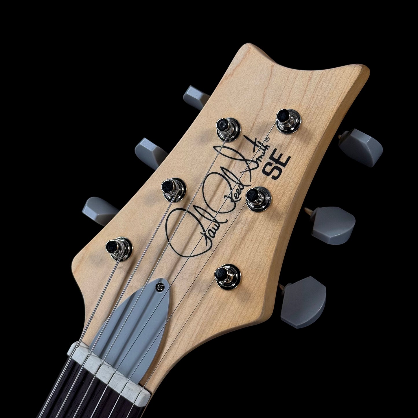 PRS SE Silver Sky | Laurel Green *New Color*