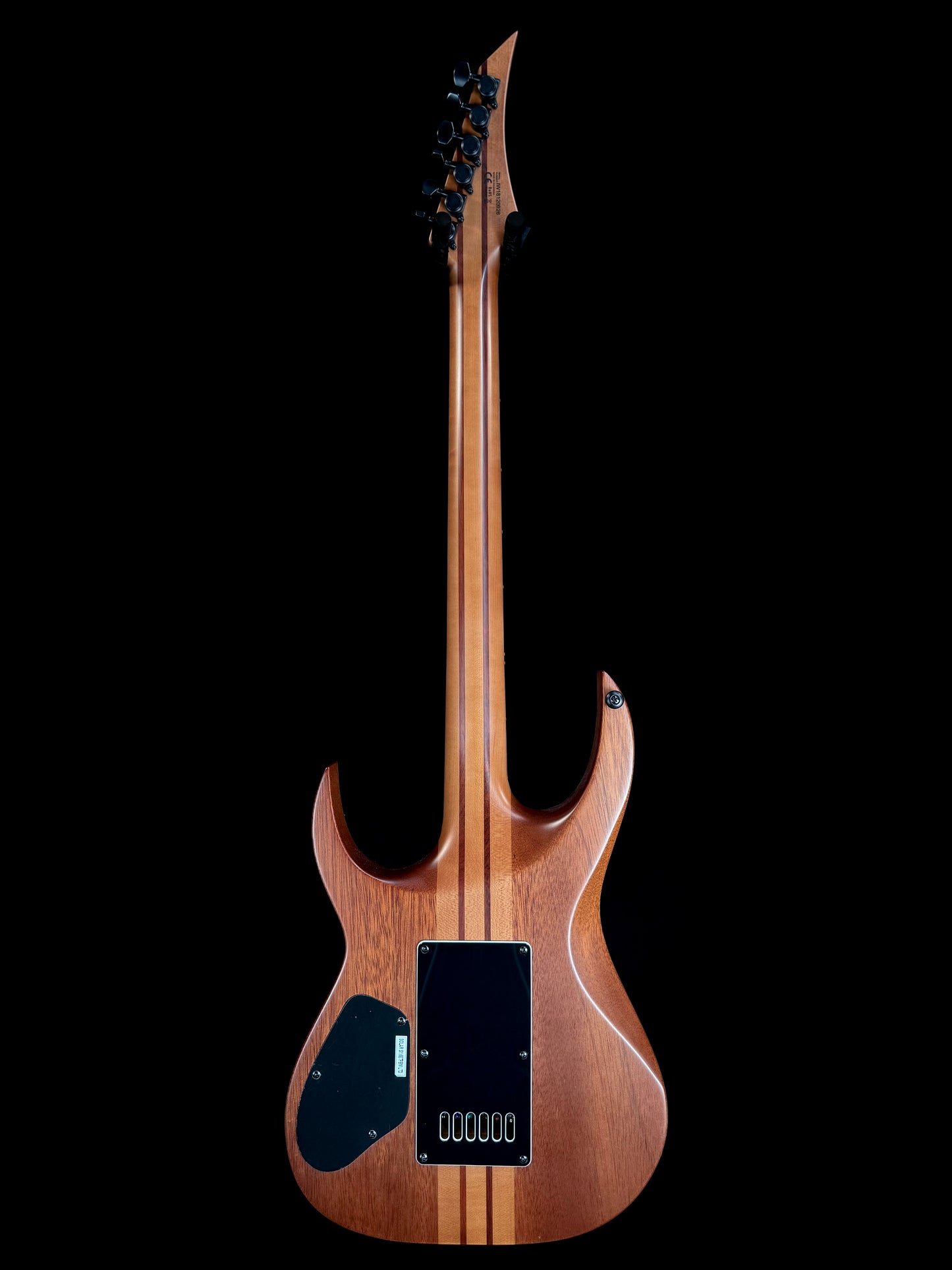 Solar Guitars Limited Edition S1.6ETPBM LTD | Poplar Burst Matte