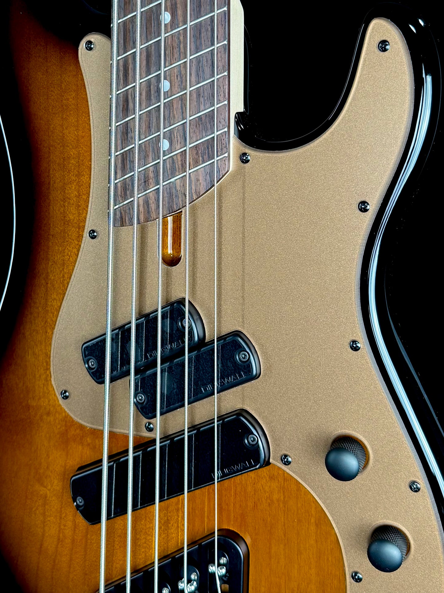 Dingwall Guitars SP1 5 String | Gloss Vintageburst
