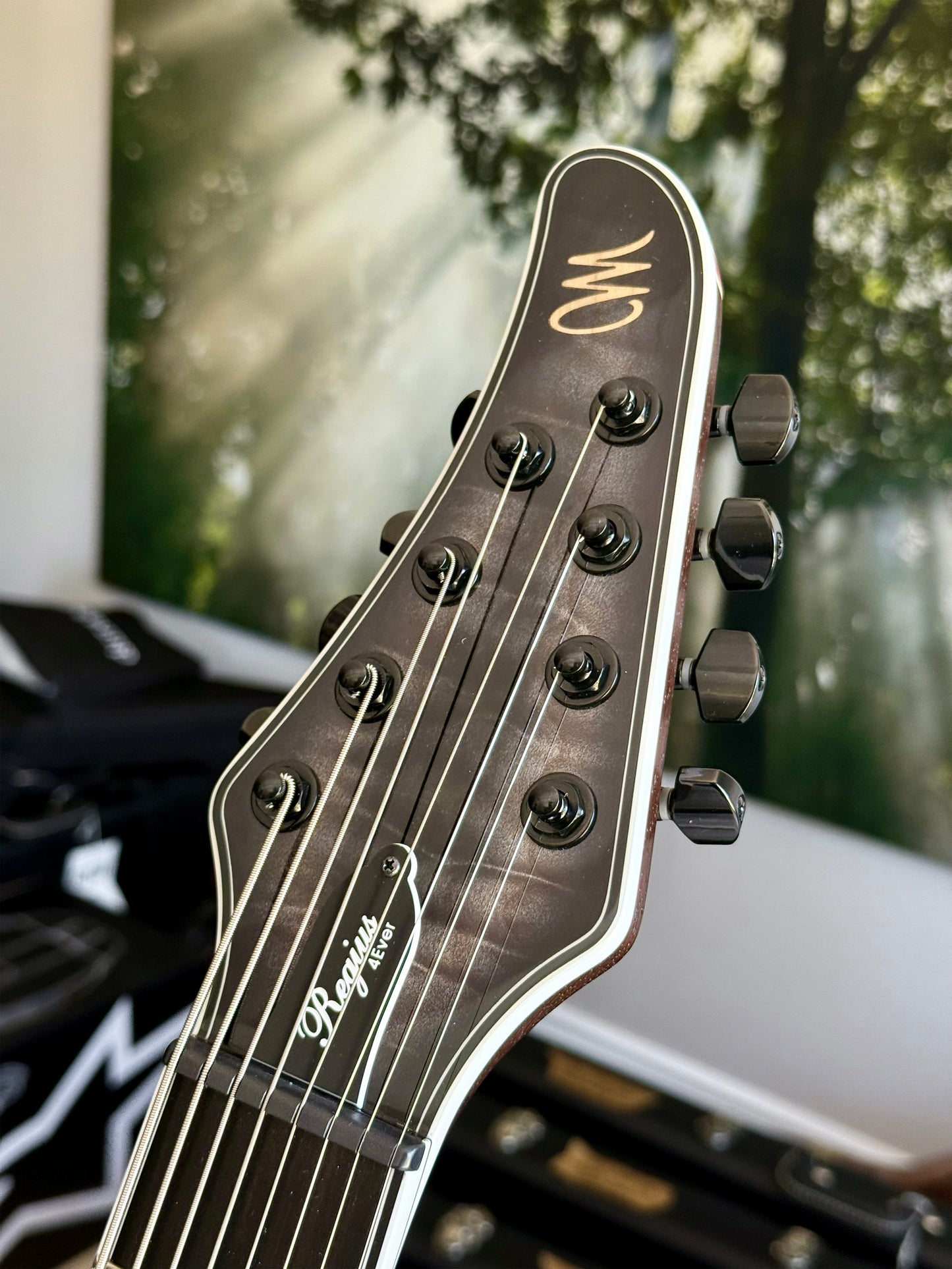 Mayones Regius 4Ever 8 | Galaxy Eye Black Gloss