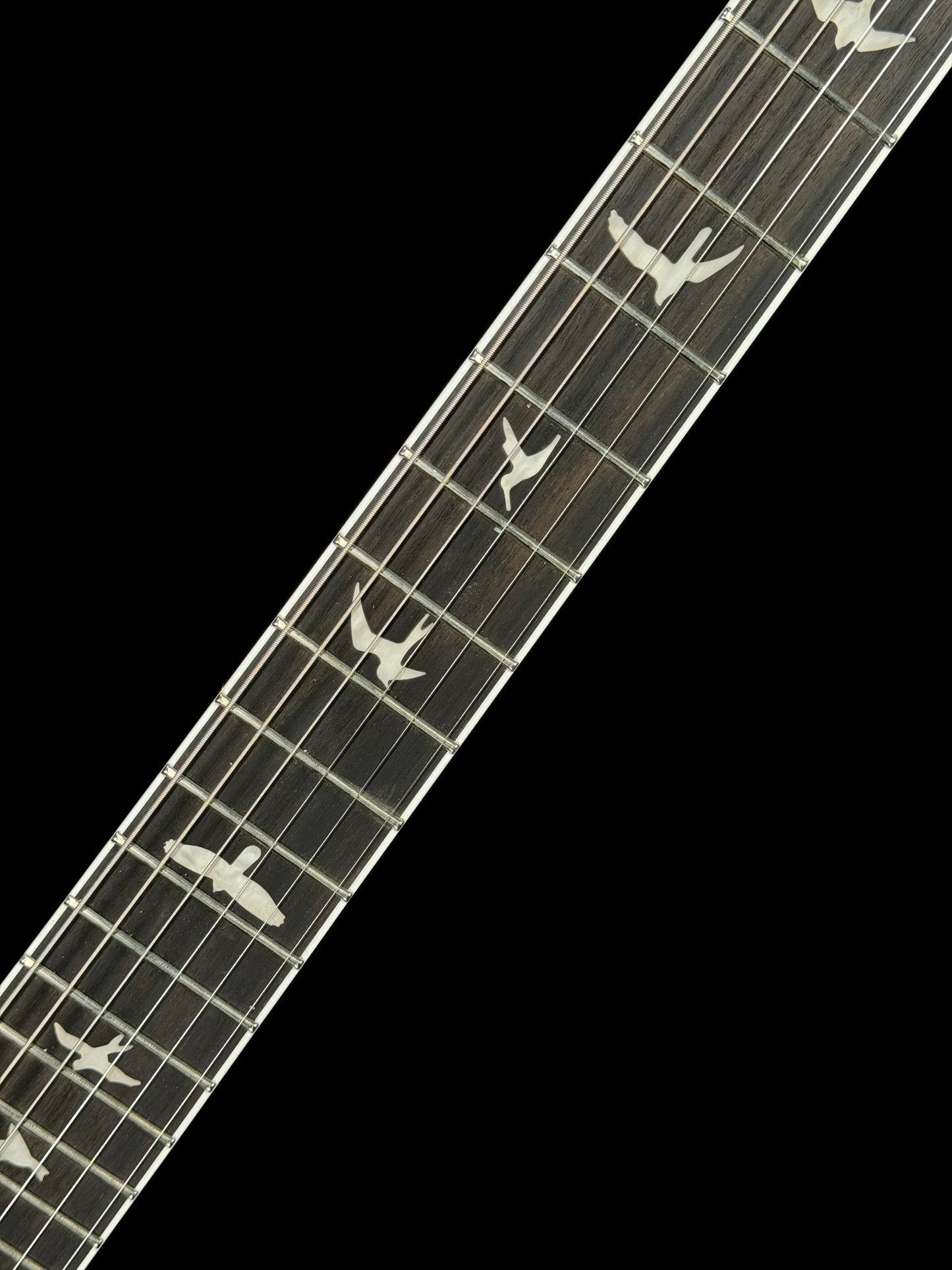 PRS SE Mark Holcomb | Holcomb Blue Burst