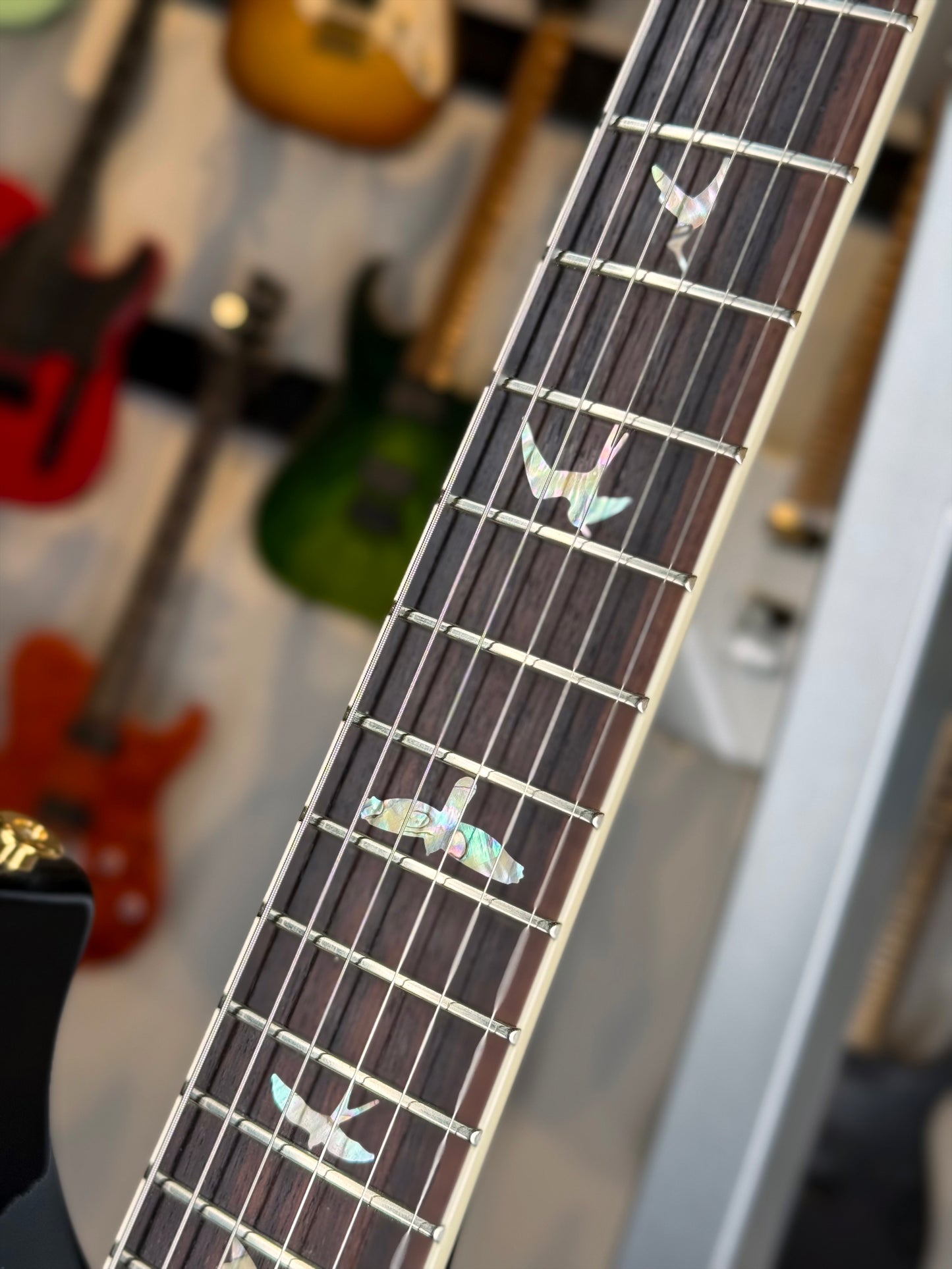PRS McCarty 594 Hollowbody II "10 Top" | Aurora Borealis