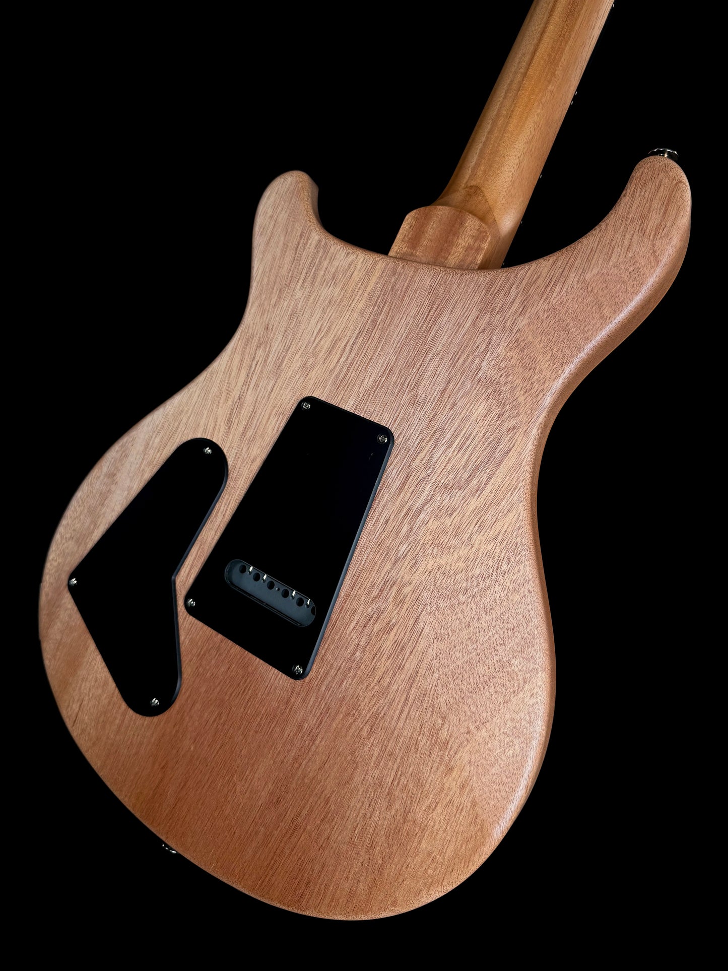 PRS S2 Special Semi-Hollow Reclaimed Limited Edition | Natural