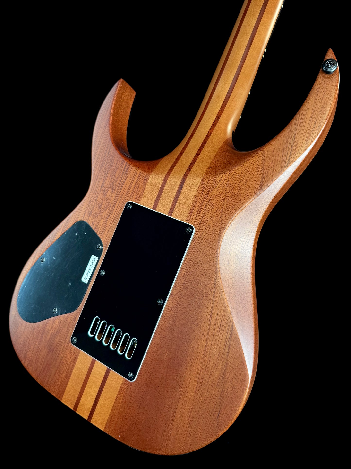 Solar Guitars Limited Edition S1.6ETPBM LTD | Poplar Burst Matte