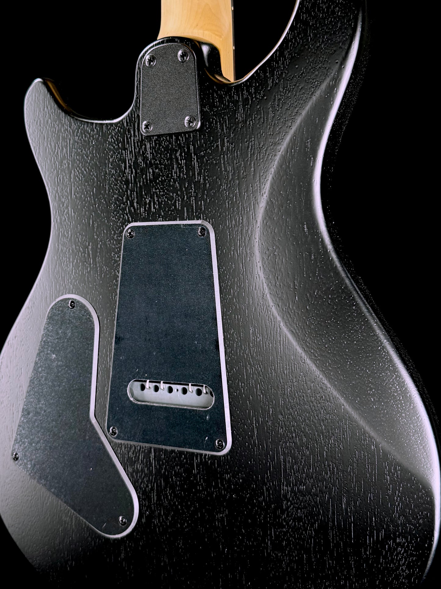 PRS SE Swamp Ash CE 24 "Sandblasted" Limited Edition | Sandblasted Green