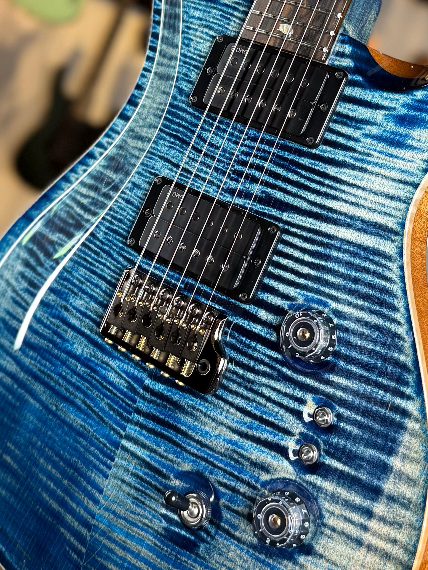 PRS Custom 24-08 "10 Top" Wood Library Limited Edition | Private Stock Indigo/Natural Back
