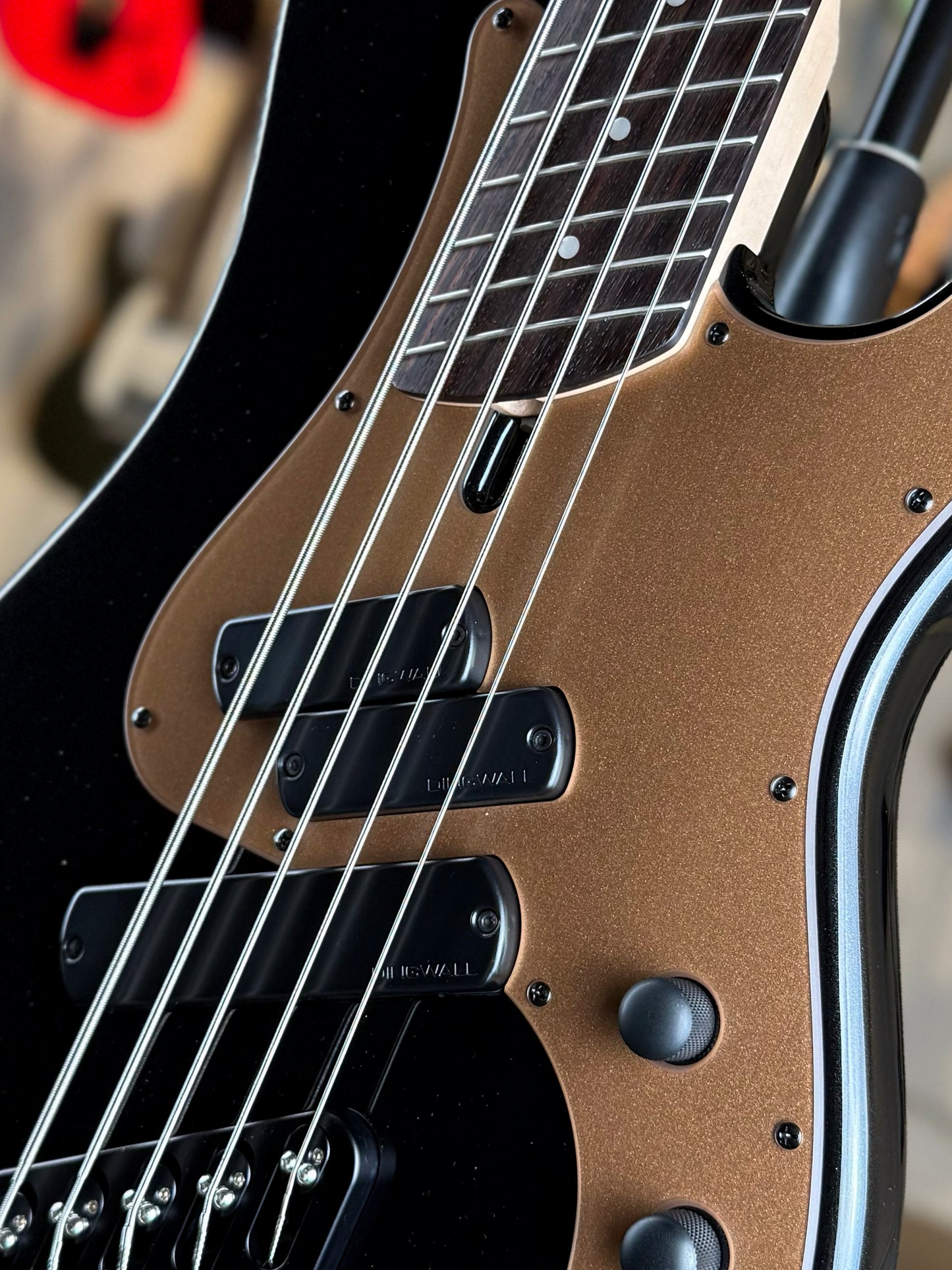 Dingwall Guitars SP1 5 String | Gloss Metallic Black