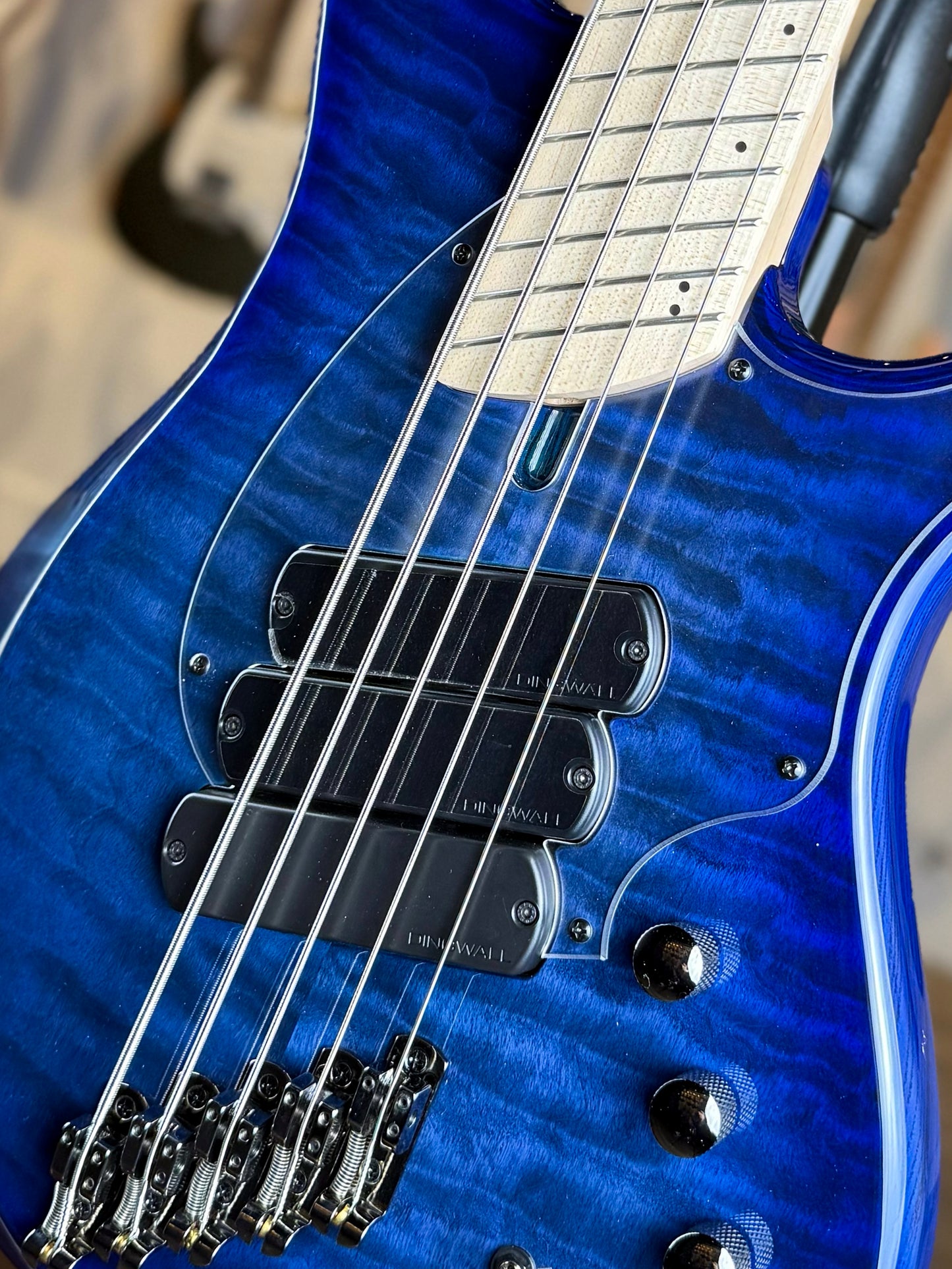 Dingwall Guitars Combustion C3 5 String | Indigoburst