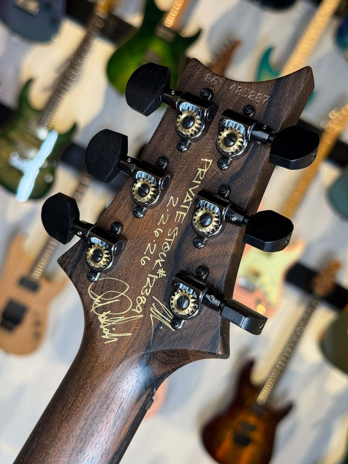 PRS Private Stock Custom 24 | Koa (Birds of a Feather)