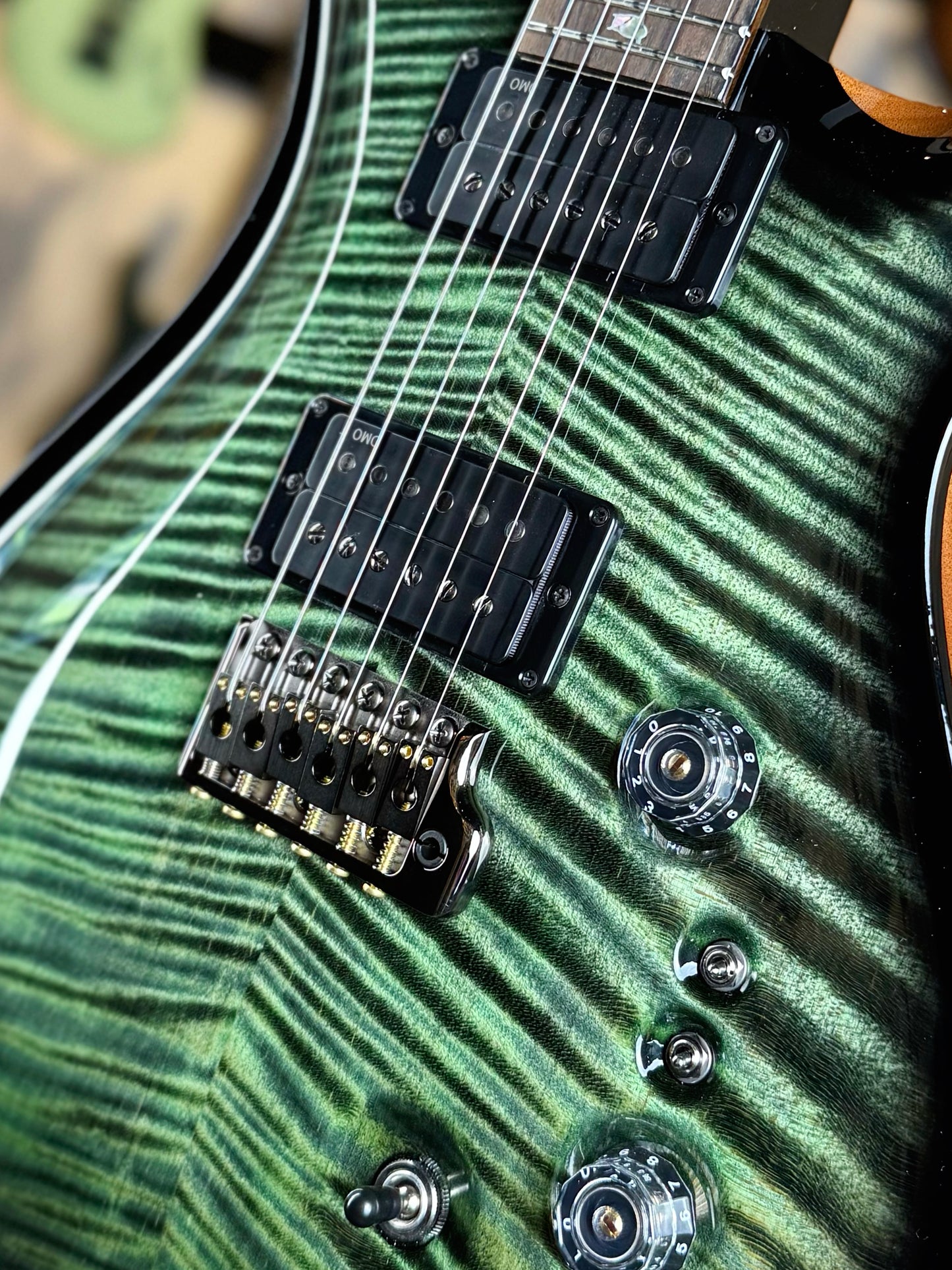 PRS Custom 24-08 "10 Top" Wood Library Limited Edition | Private Stock Sage/Natural Back