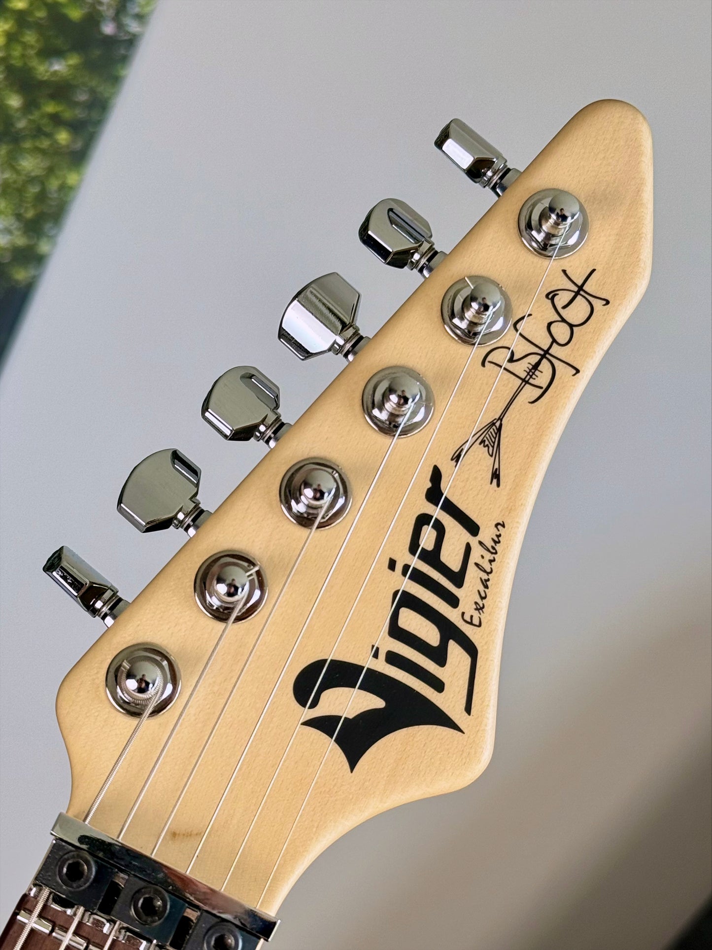 Vigier Excalibur Bumblefoot Ron Thal Signature Exclusive 1 of 1 | Rock Art