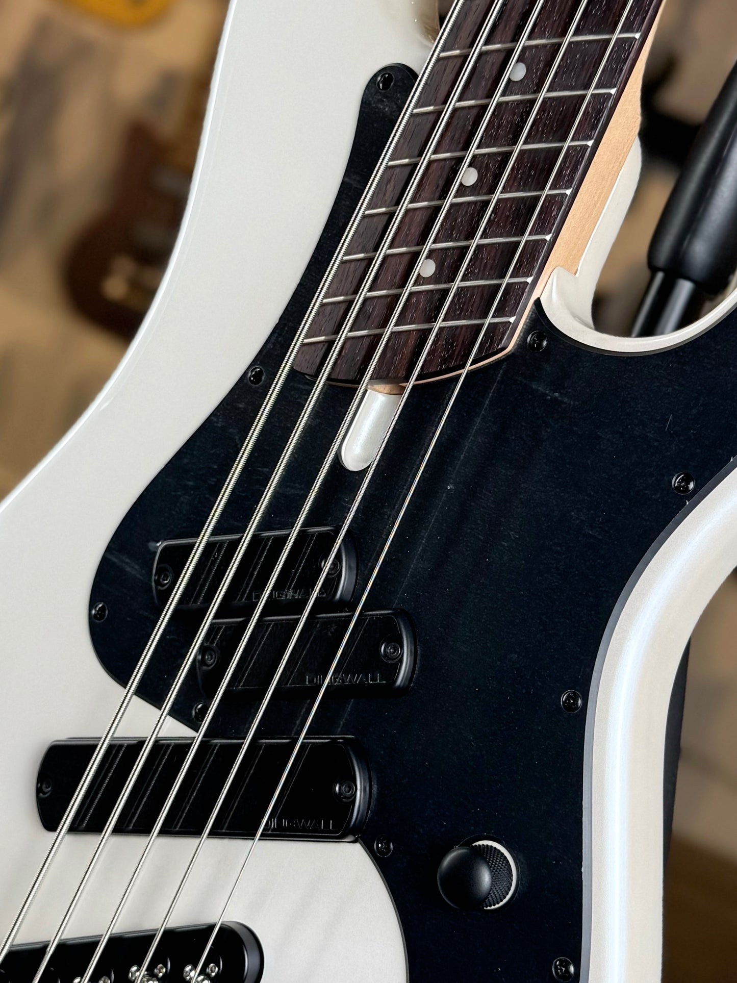 Dingwall Guitars SP1 5 String | Gloss Ducati Pearl White with Black Pickguard