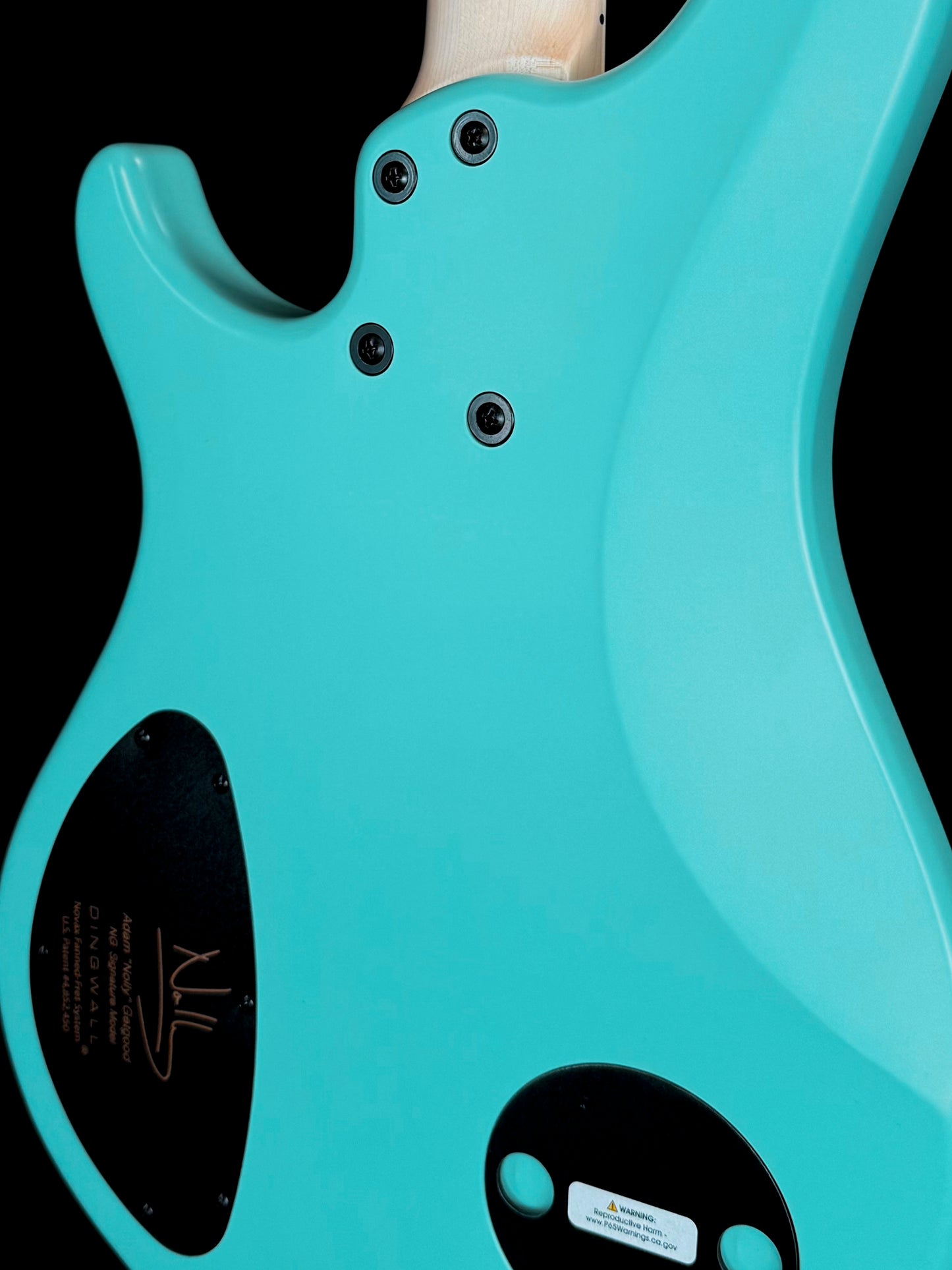 Dingwall Guitars Adam "Nolly" Getgood NG Signature 4 String | Matte Celestial Blue