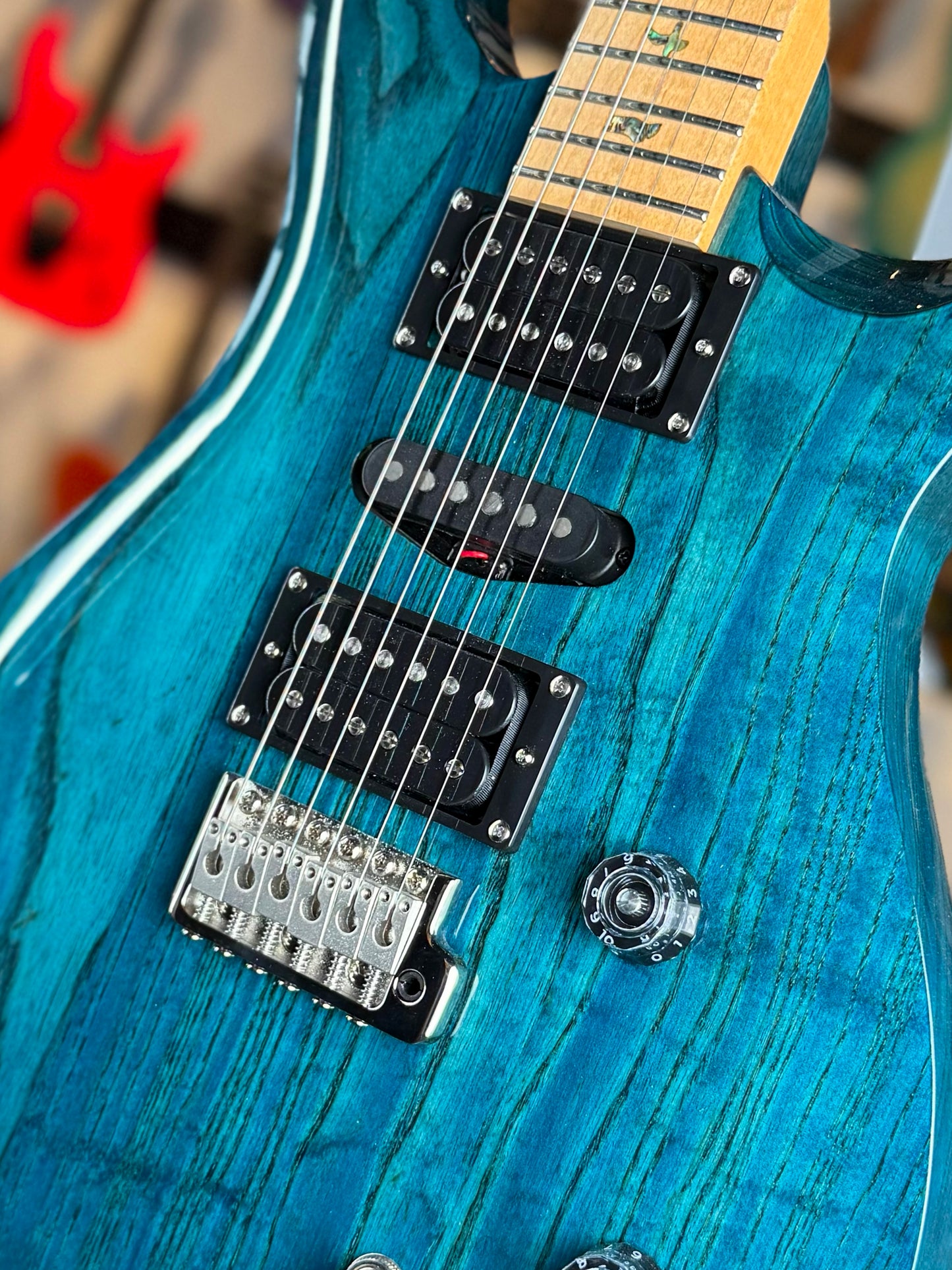 PRS SE Swamp Ash Special | Iri Blue