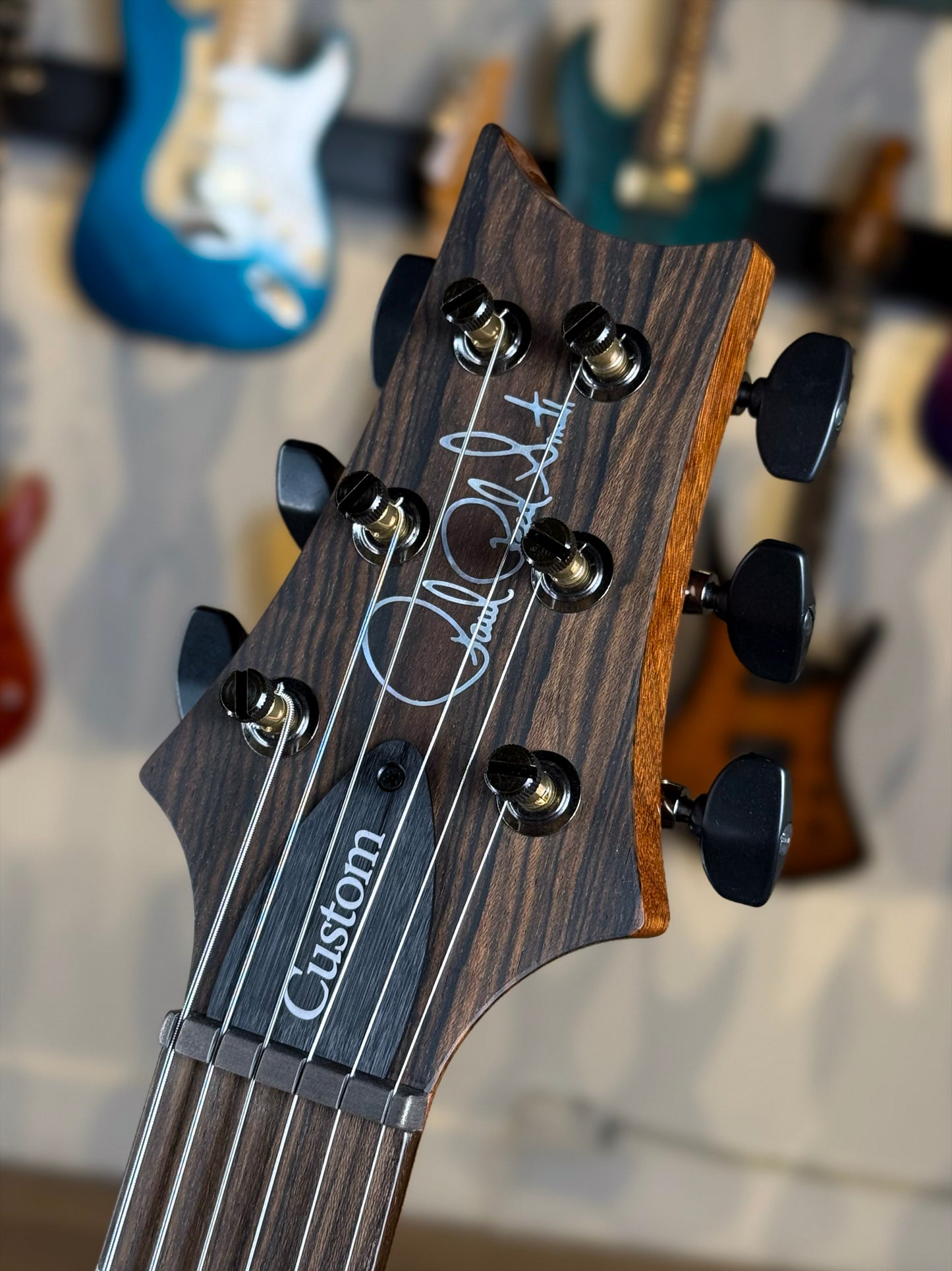 PRS Custom 24 Sprayer's Choice | Gunmetal Grey Holoflake Sparkle/Natural Back