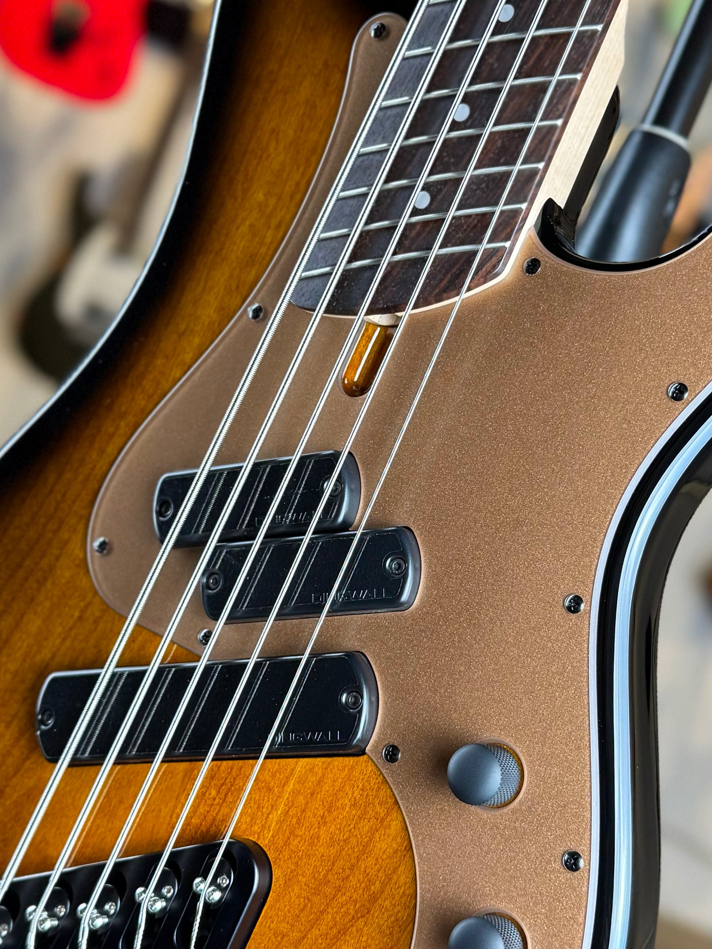 Dingwall Guitars SP1 5 String | Gloss Vintageburst
