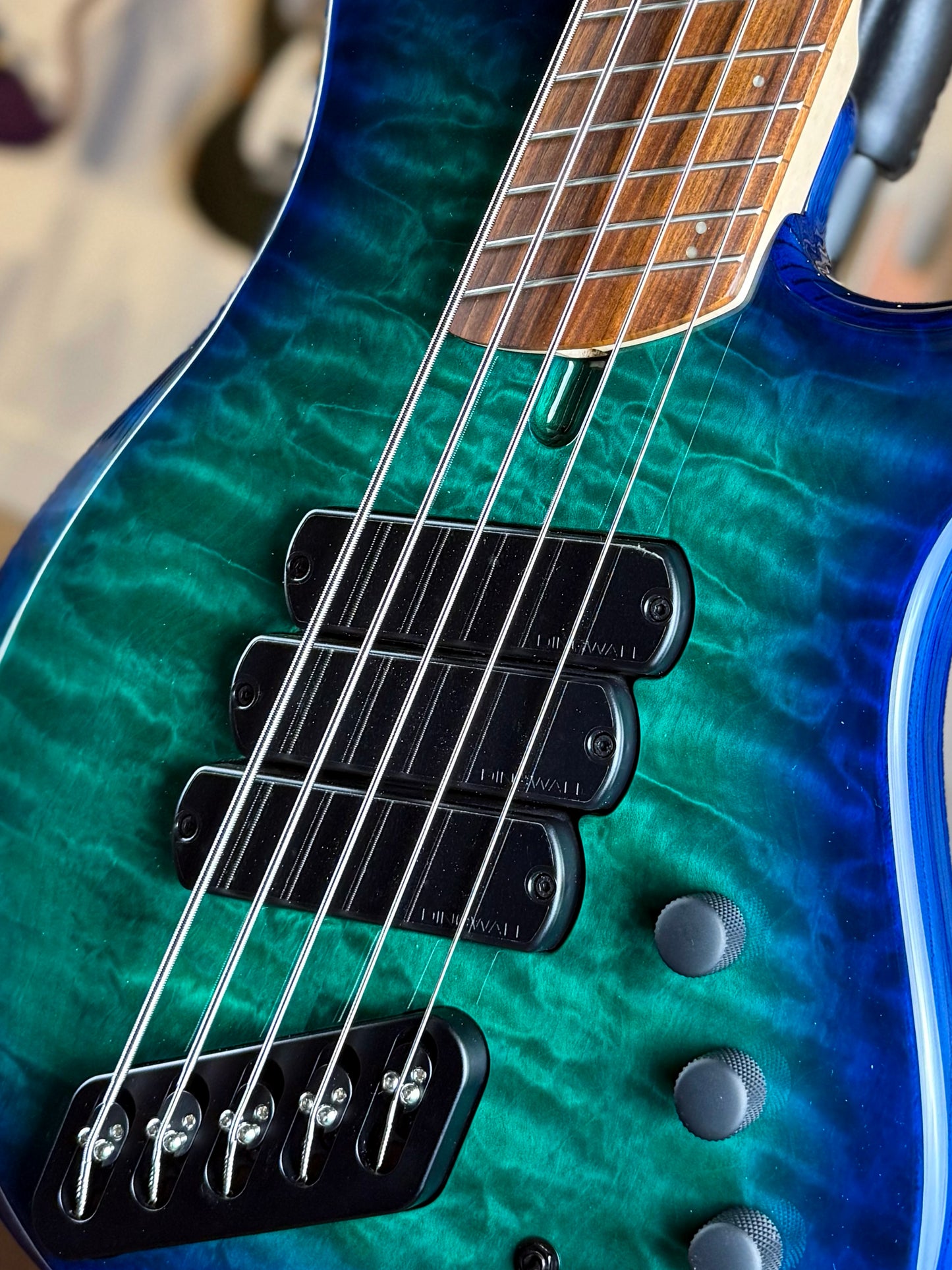 Dingwall Guitars Combustion C3 5 String | Whalepoolburst