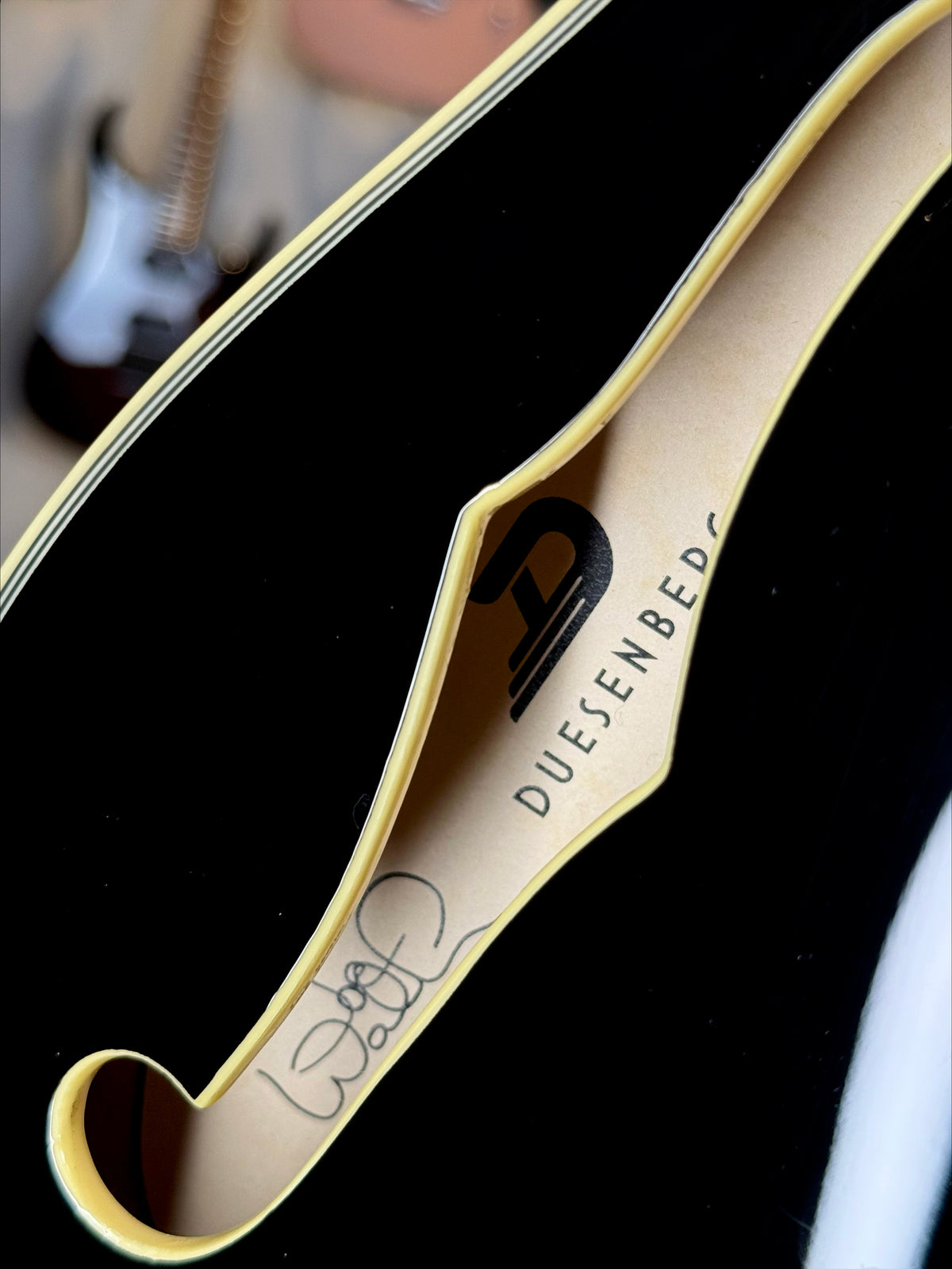 Duesenberg Alliance Series Joe Walsh Signature | Black with Flame Maple Back