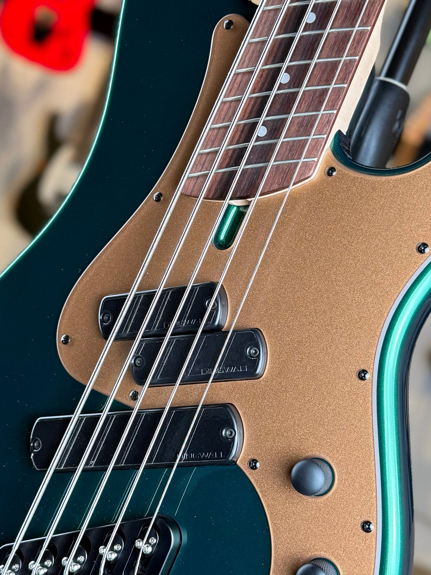 Dingwall Guitars SP1 5 String | Gloss Dark Candy Green