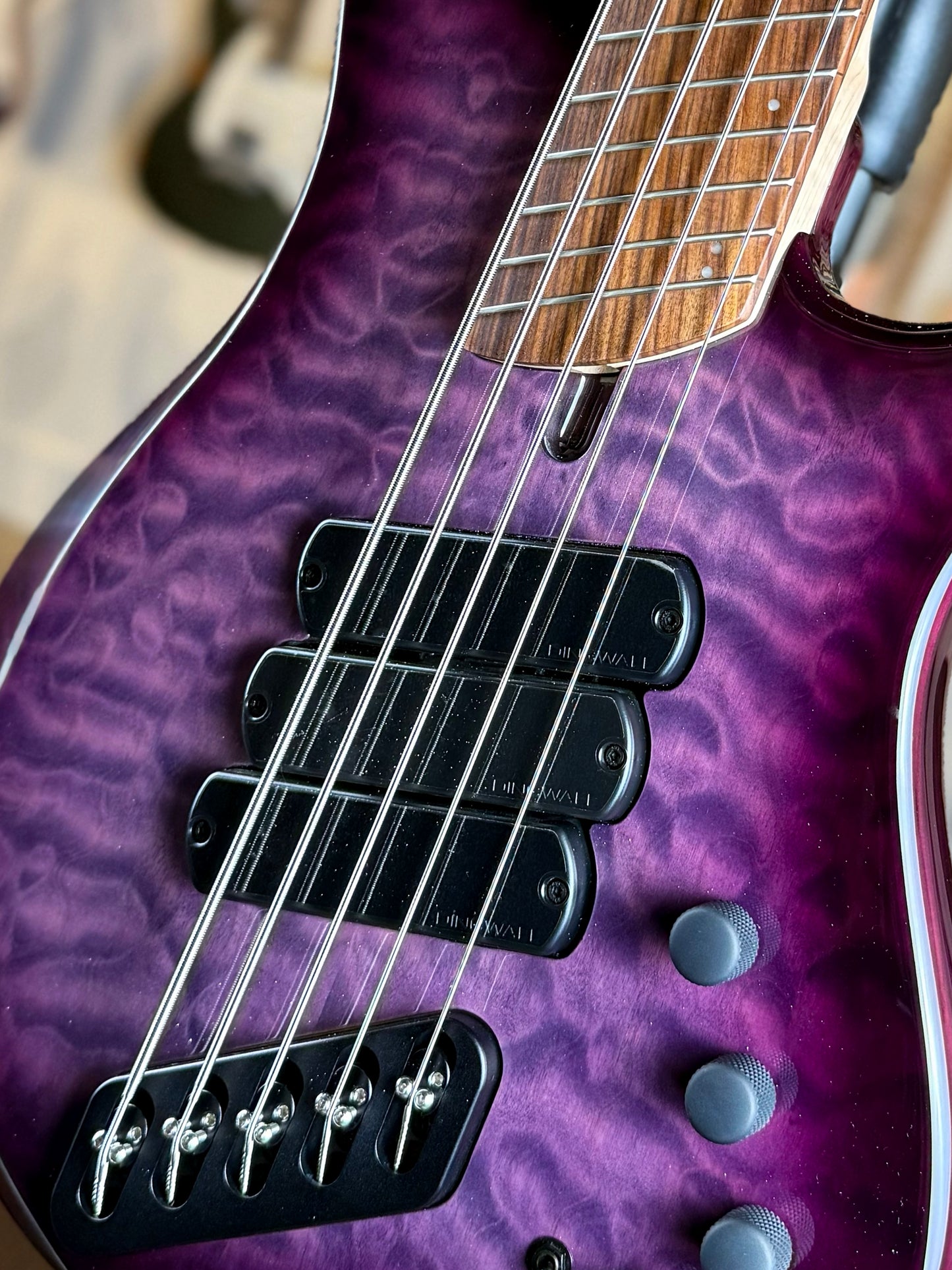 Dingwall Guitars Combustion C3 5 String | Ultravioletburst