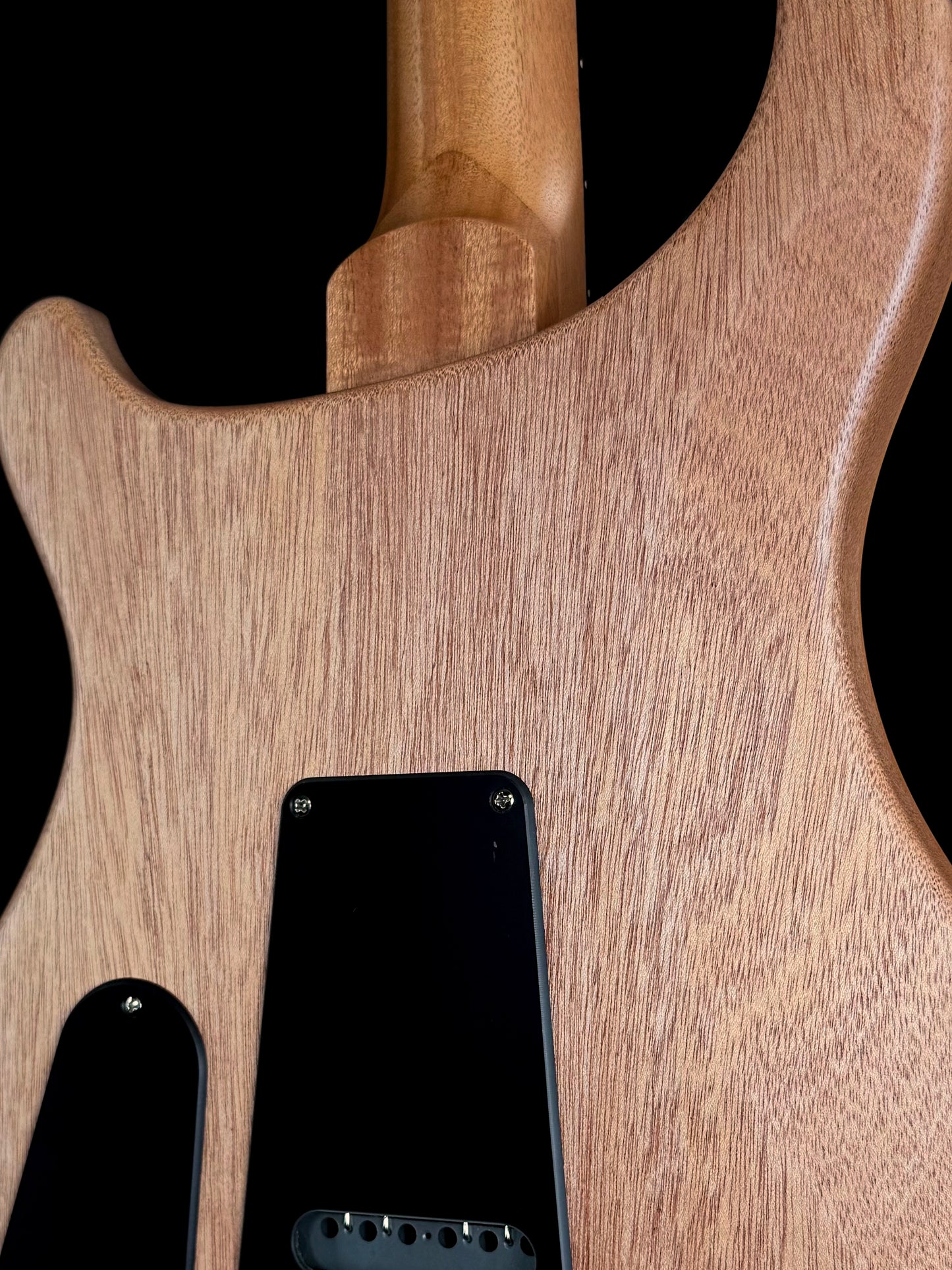 PRS S2 Special Semi-Hollow Reclaimed Limited Edition | Natural