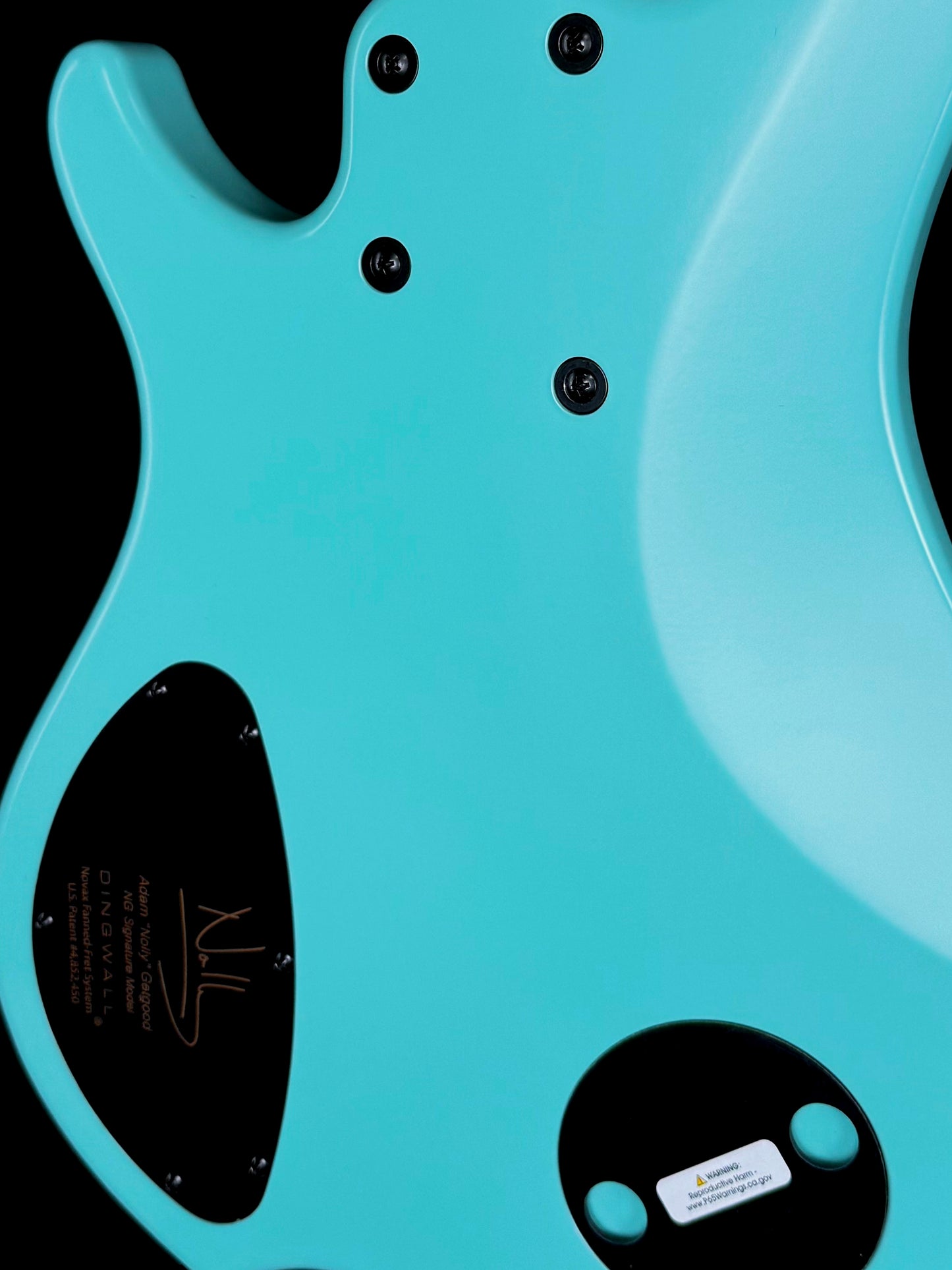 Dingwall Guitars Adam "Nolly" Getgood NG Signature 6 String | Matte Celestial Blue