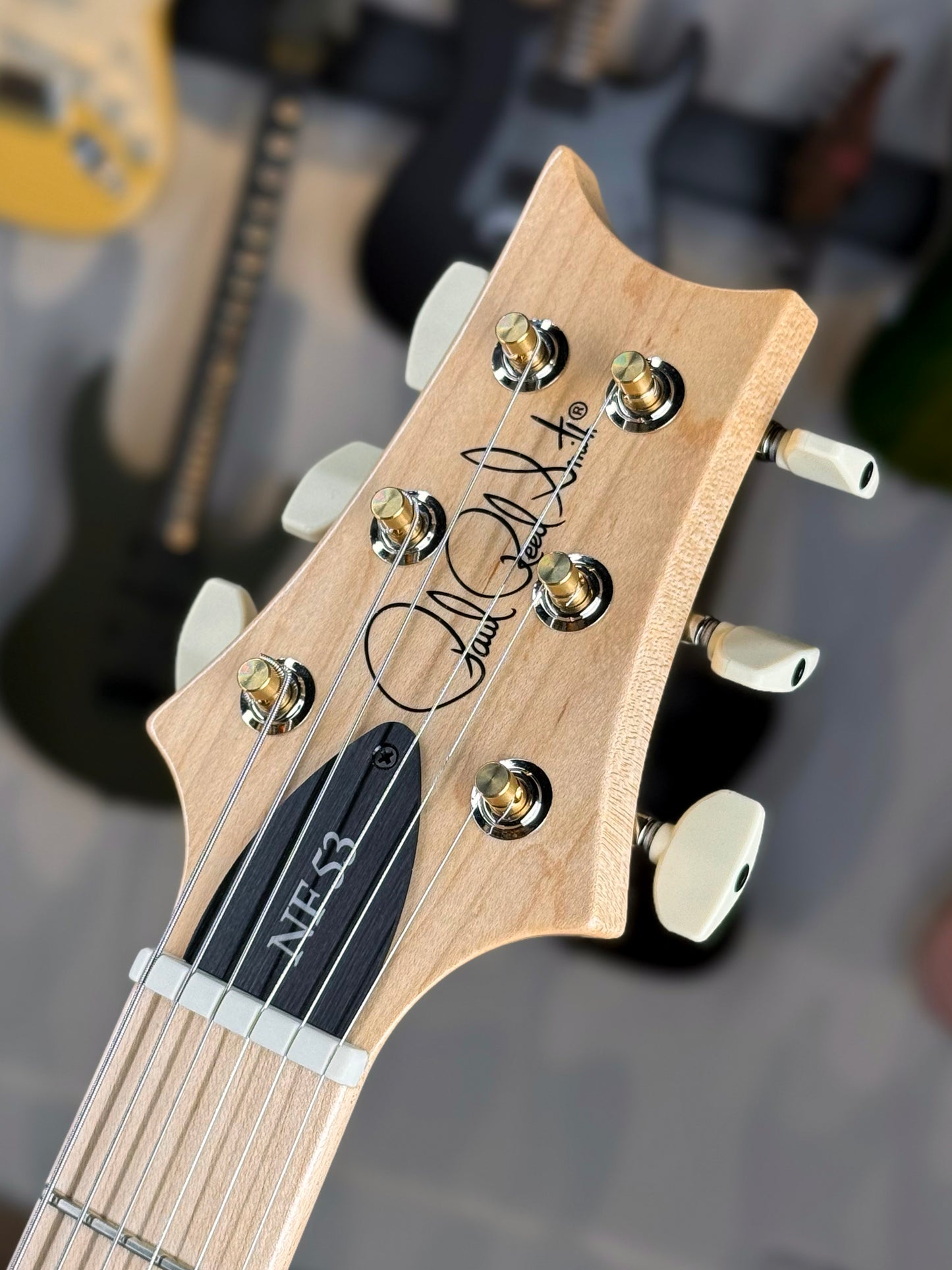 PRS NF 53 | Black Doghair